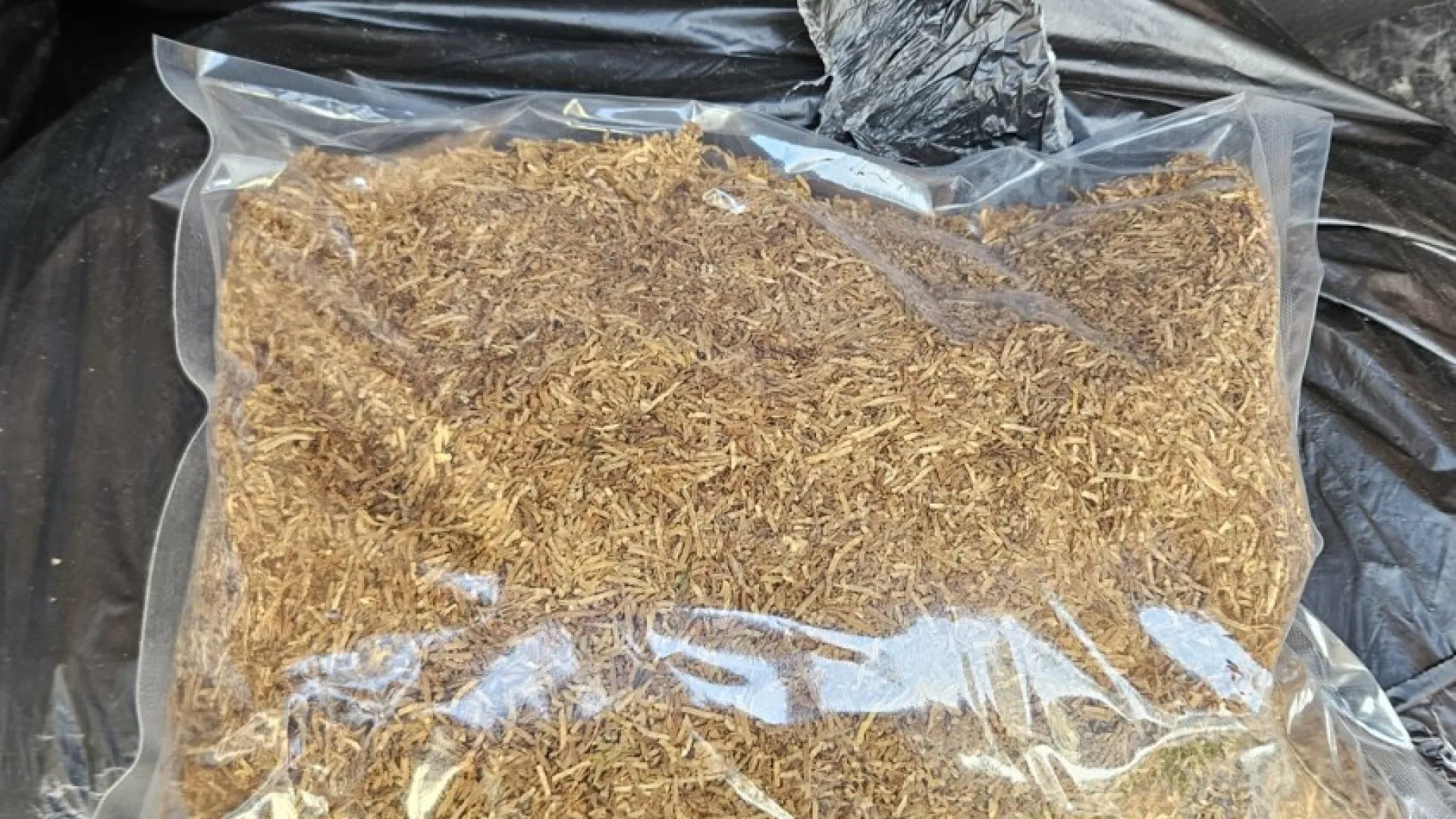 
                    Apreensão de uma tonelada de tabaco em Loulé resulta em dois arguidos
                