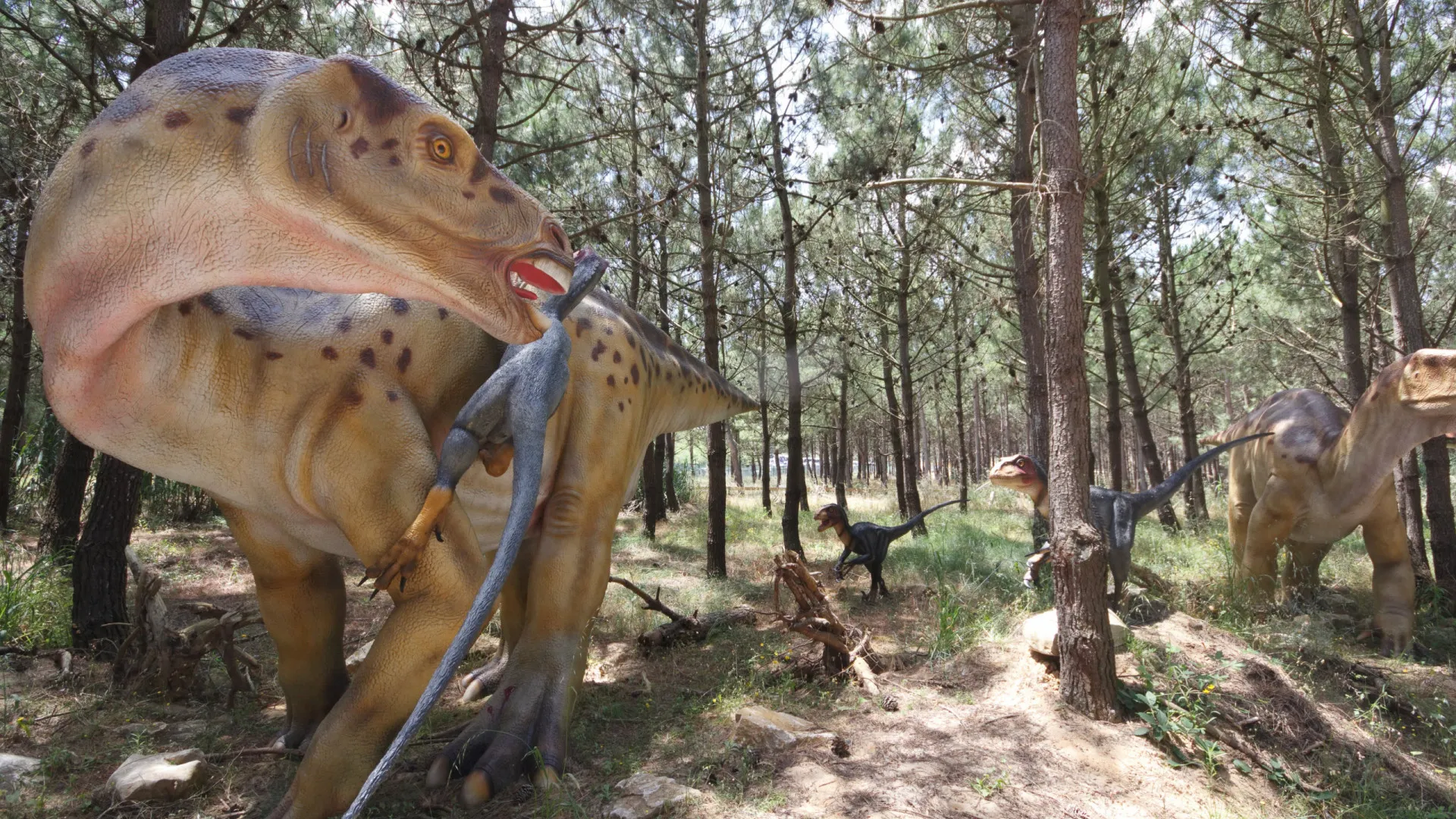 
                    Nova espécie de anfíbio do Jurássico identificada em fósseis em Portugal
                