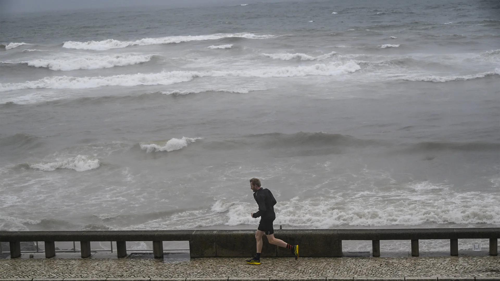 
                    Proteção civil registou 490 ocorrências. Maioria no Porto
                