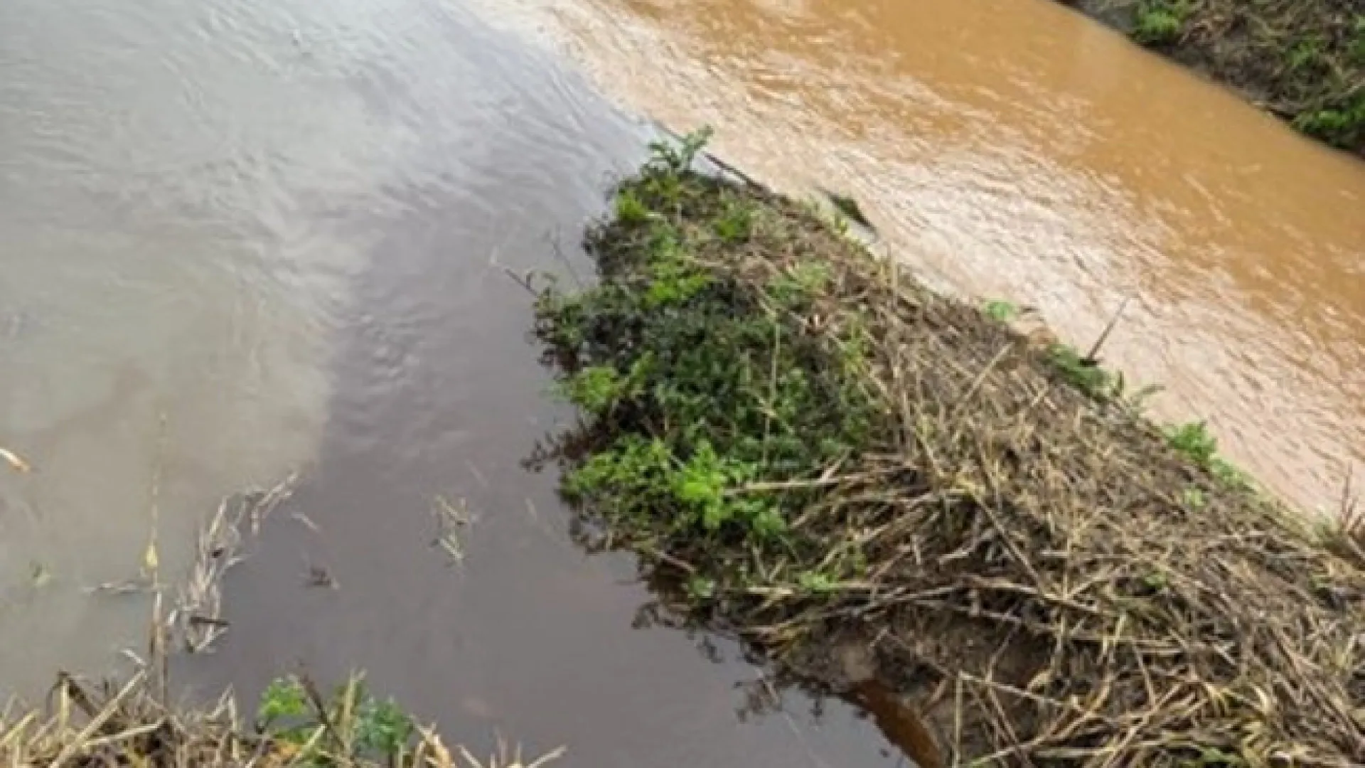 
                    Detetada descarga ilegal de águas residuais industriais no Bombarral
                