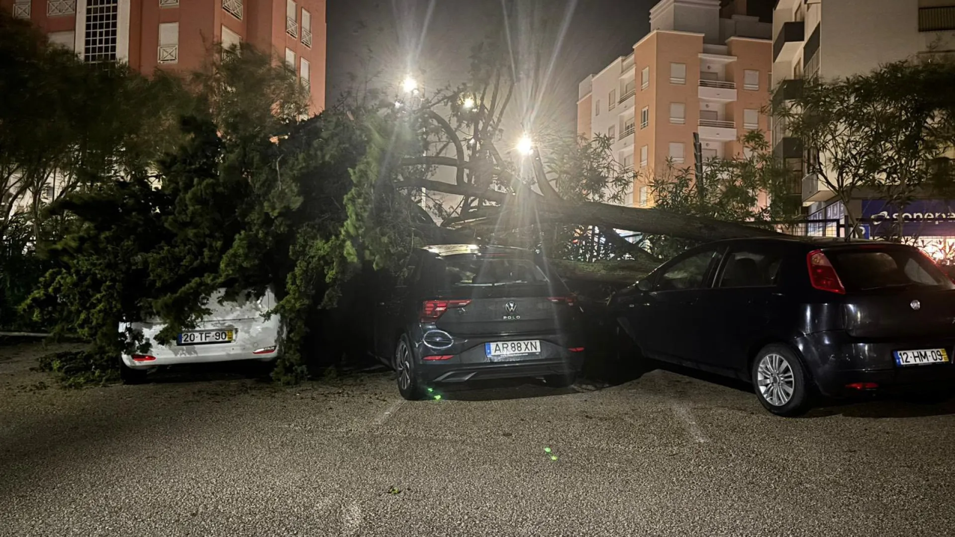 
                    AO MINUTO: Um morto em Vila Franca de Xira; 