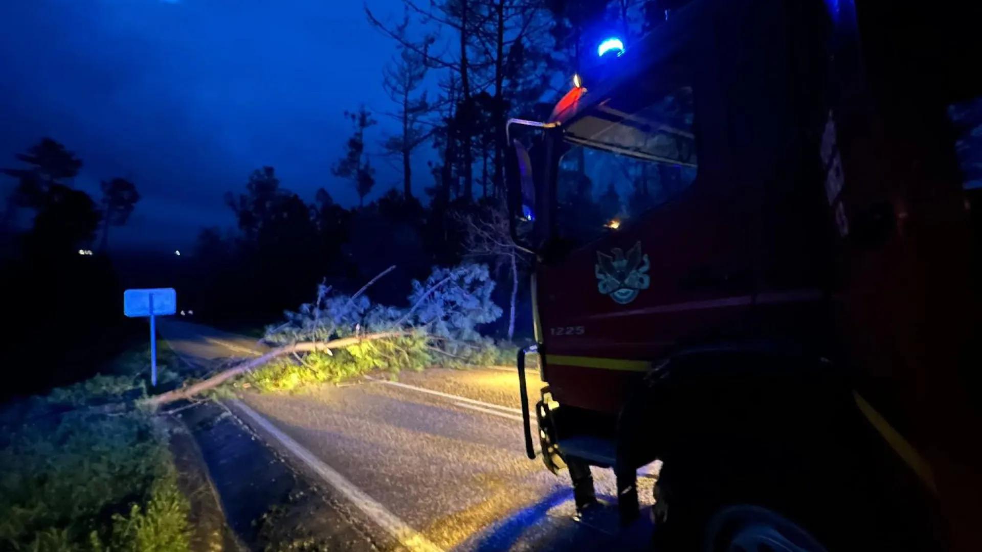 
                    Cruz Vermelha instala zona para acolhimento de desalojados em Pombal
                