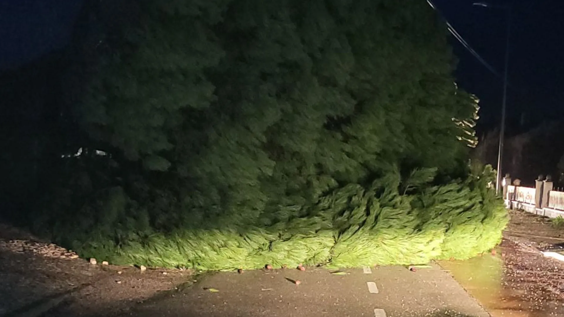 
                    Ativado Plano Municipal de Emergência de Proteção Civil de Soure
                