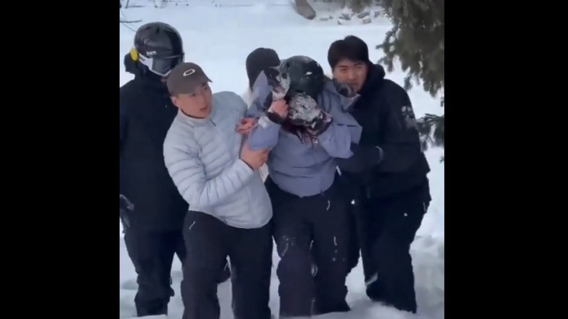 
                    Mulher atacada por leopardo-das-neves a tentar tirar fotografia ao animal
                
