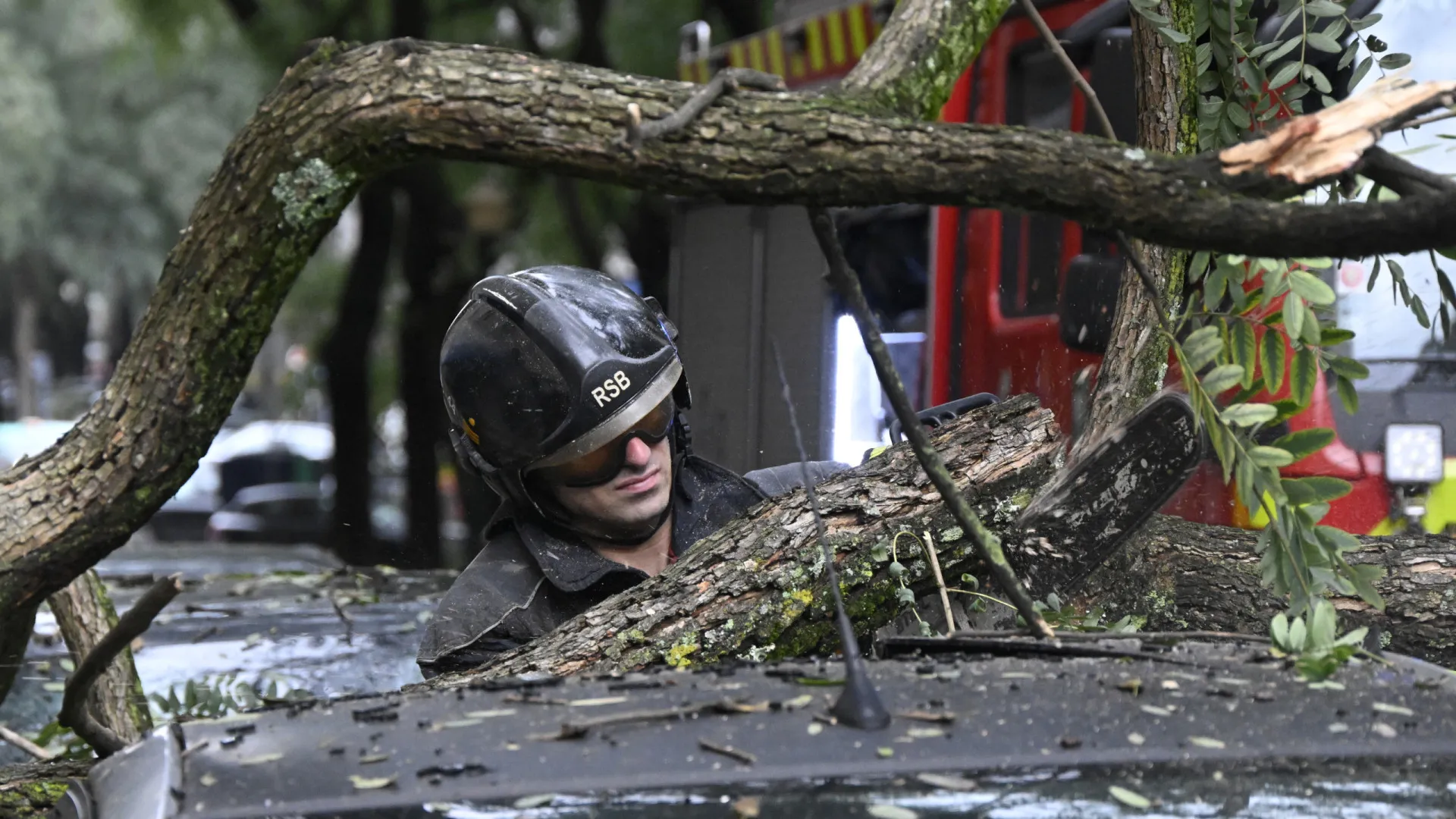
                    Queda de árvores em Sintra danifica viatura e fecha monumentos
                