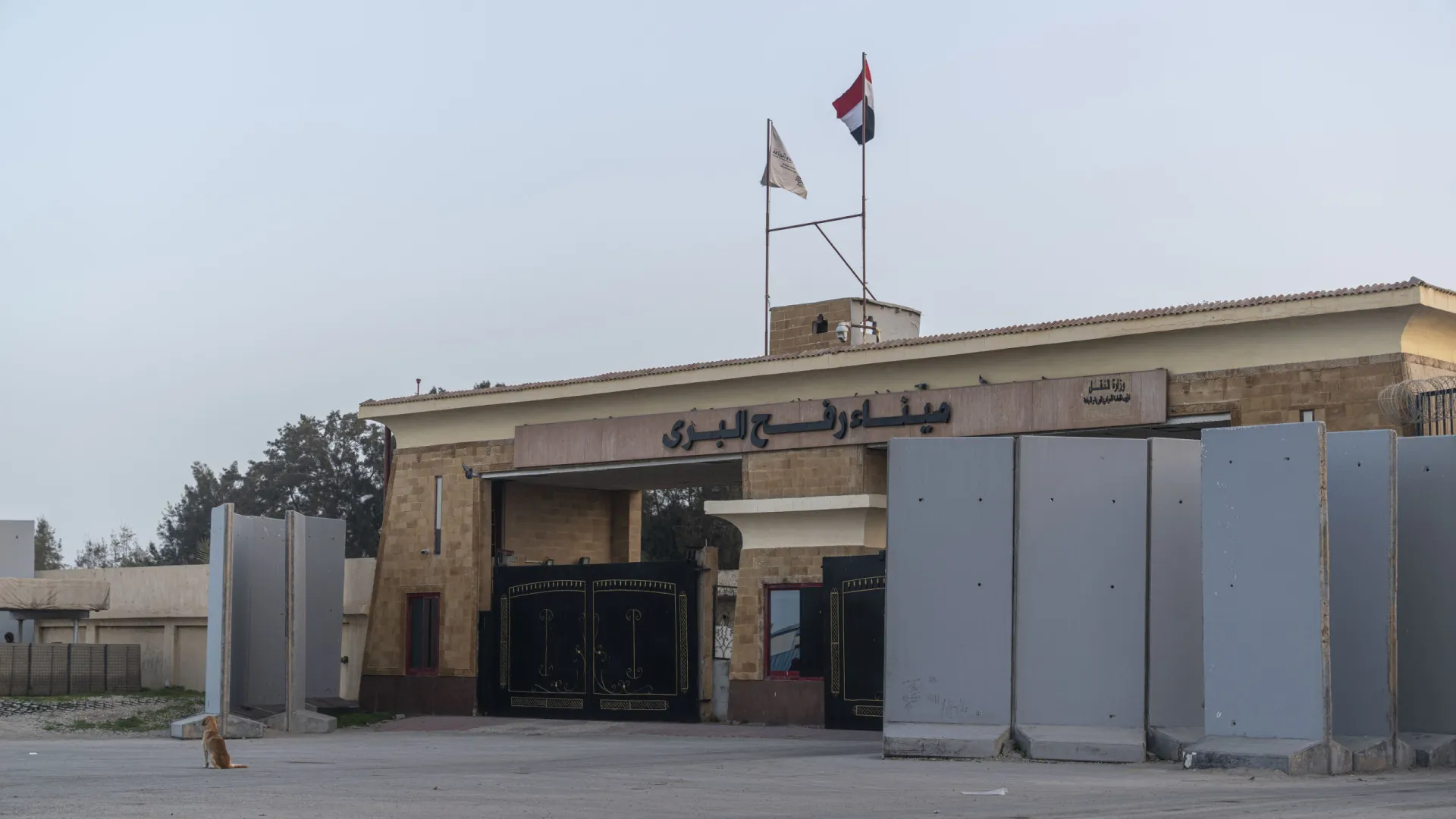 
                    Gaza. Fronteira de Rafah reabrirá domingo para pessoas nos dois sentidos
                