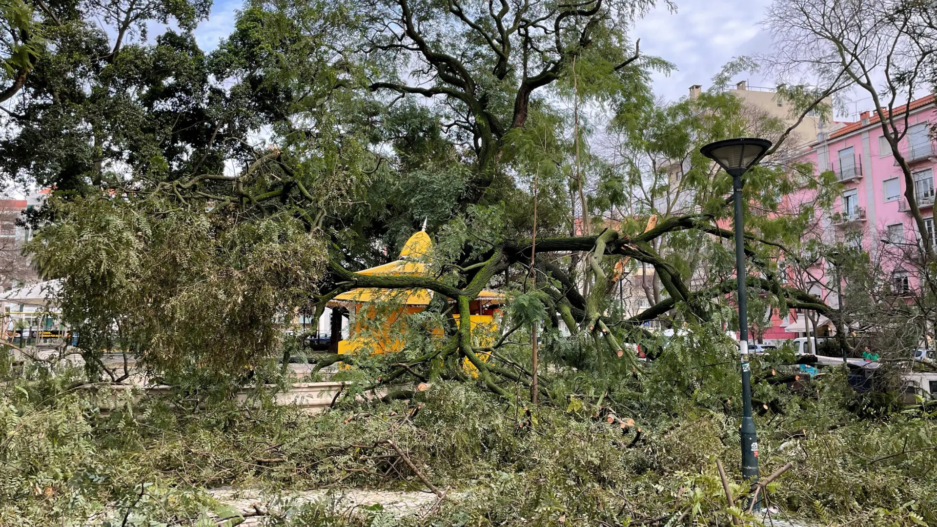 
                    Sete pessoas retiradas 
