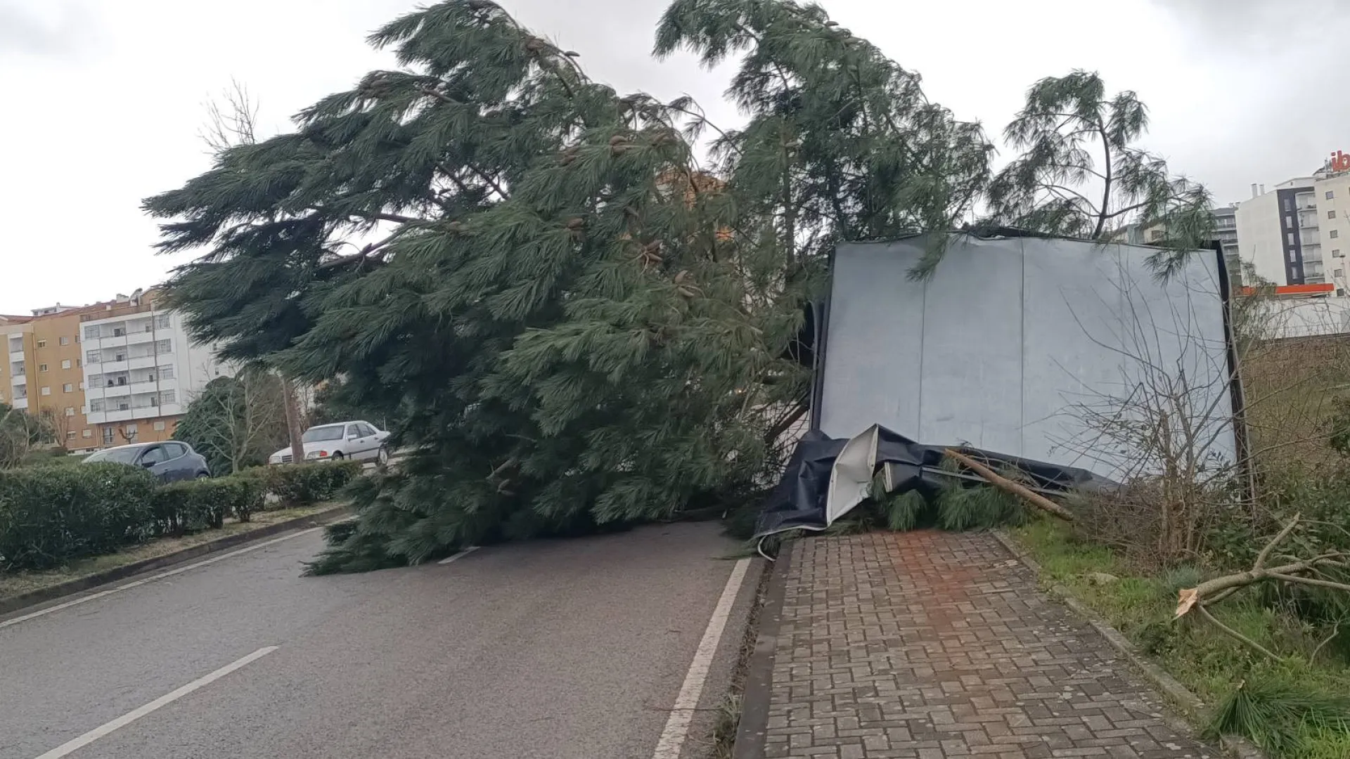 
                    Câmara e freguesias de Castelo Branco fazem levantamento das necessidades
                