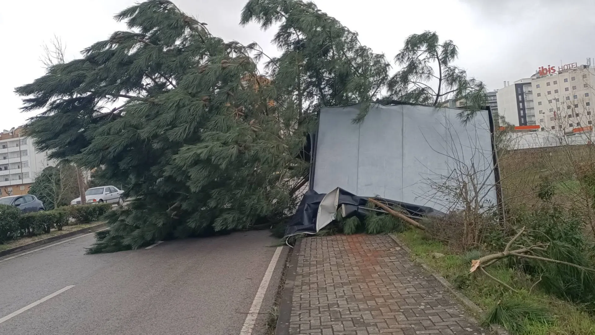 Empresas de Leiria substituem telhados e aumentam produção sem apoios
