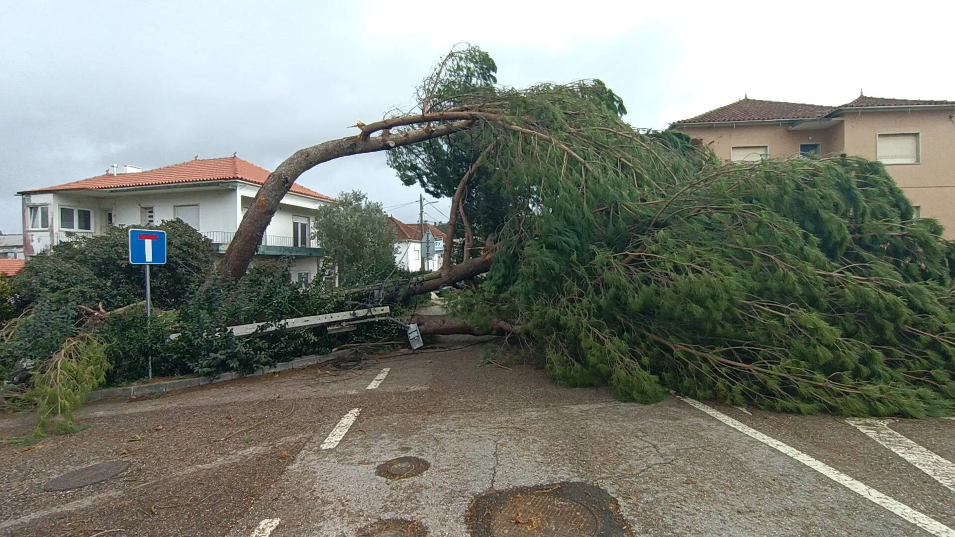 
                    Kristin deixa destruição: Leiria é dos distritos mais afetados. As fotos
                