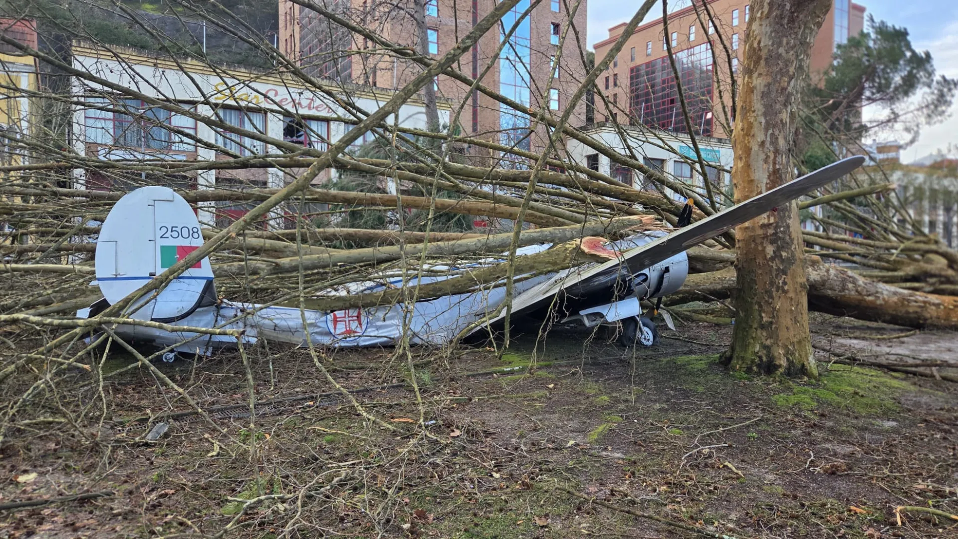 
                    Leiria com 37 mil participações por danos do mau tempo
                