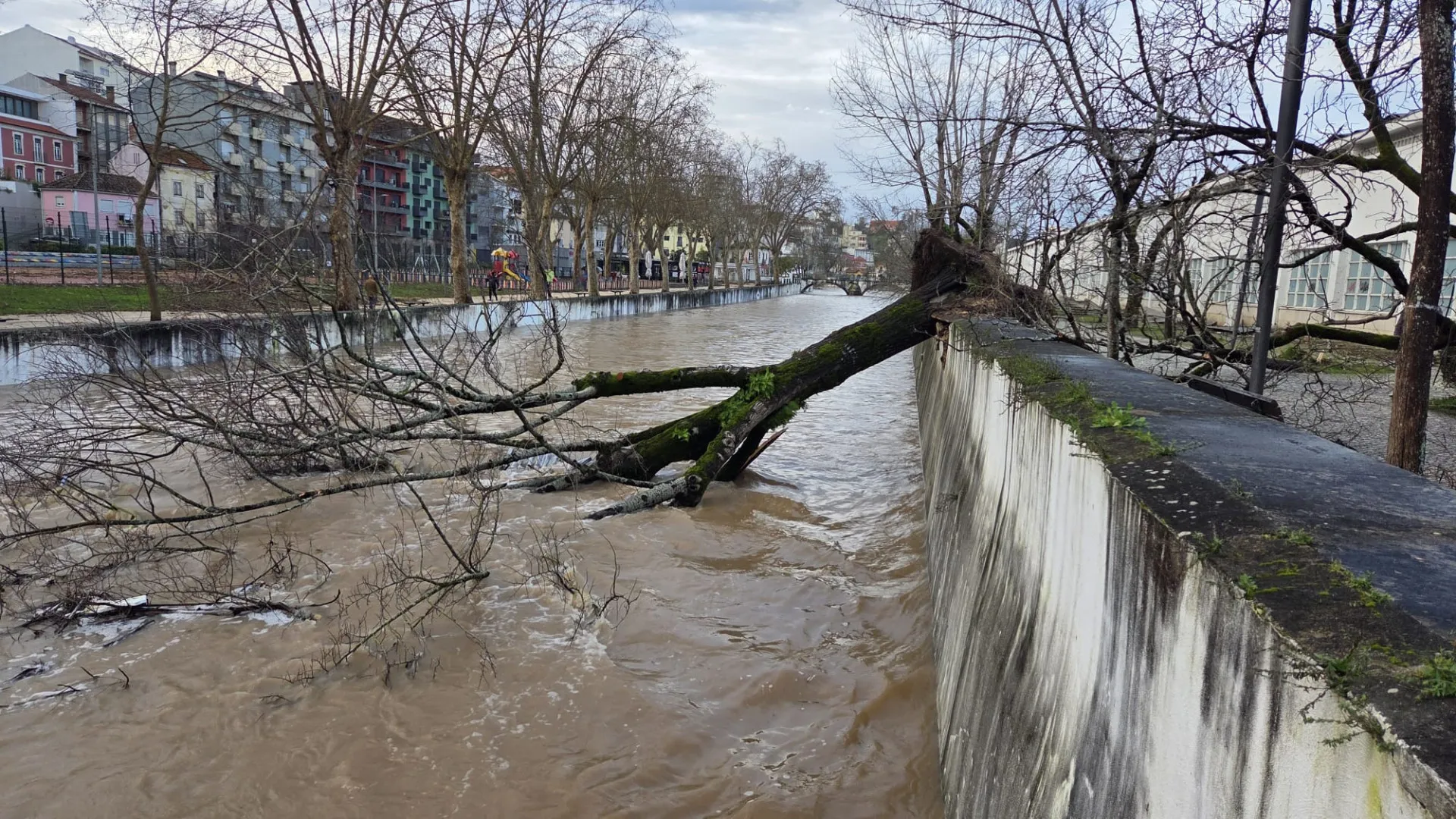 
                    Junta das Meirinhas em Pombal antecipa 500 milhões de prejuízo
                