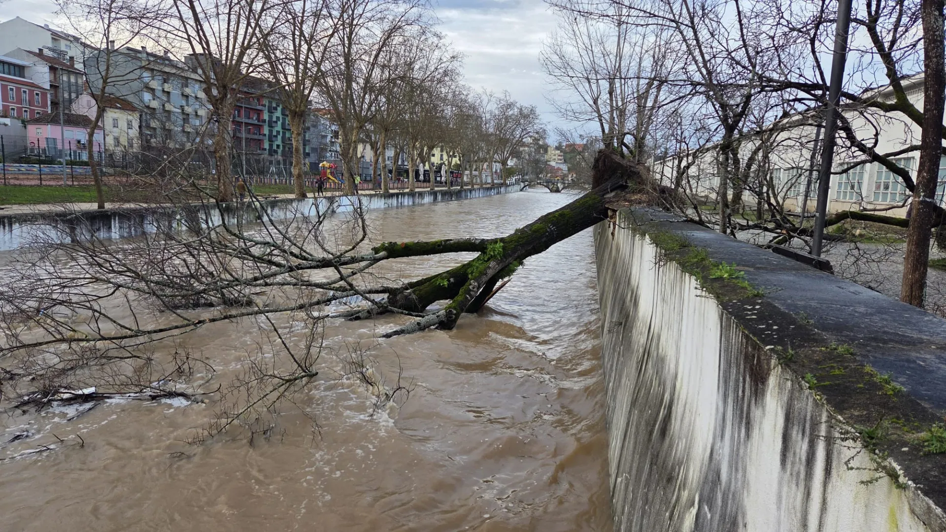 
                    Danos na escola sede de Vila Nova de Poiares impactam oito salas
                