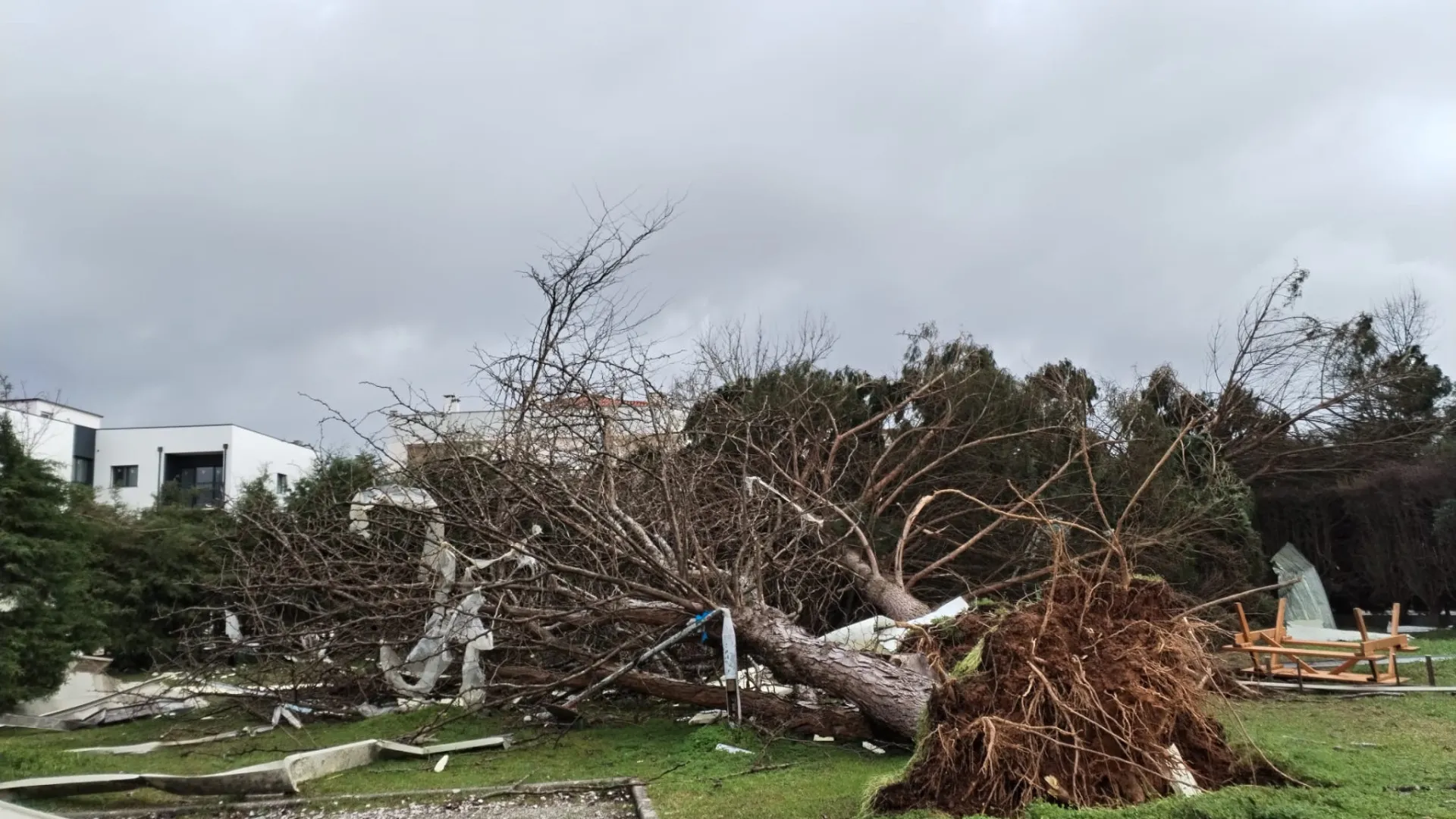 
                    ULS da Região de Leiria registou 177 entradas de doentes com trauma
                