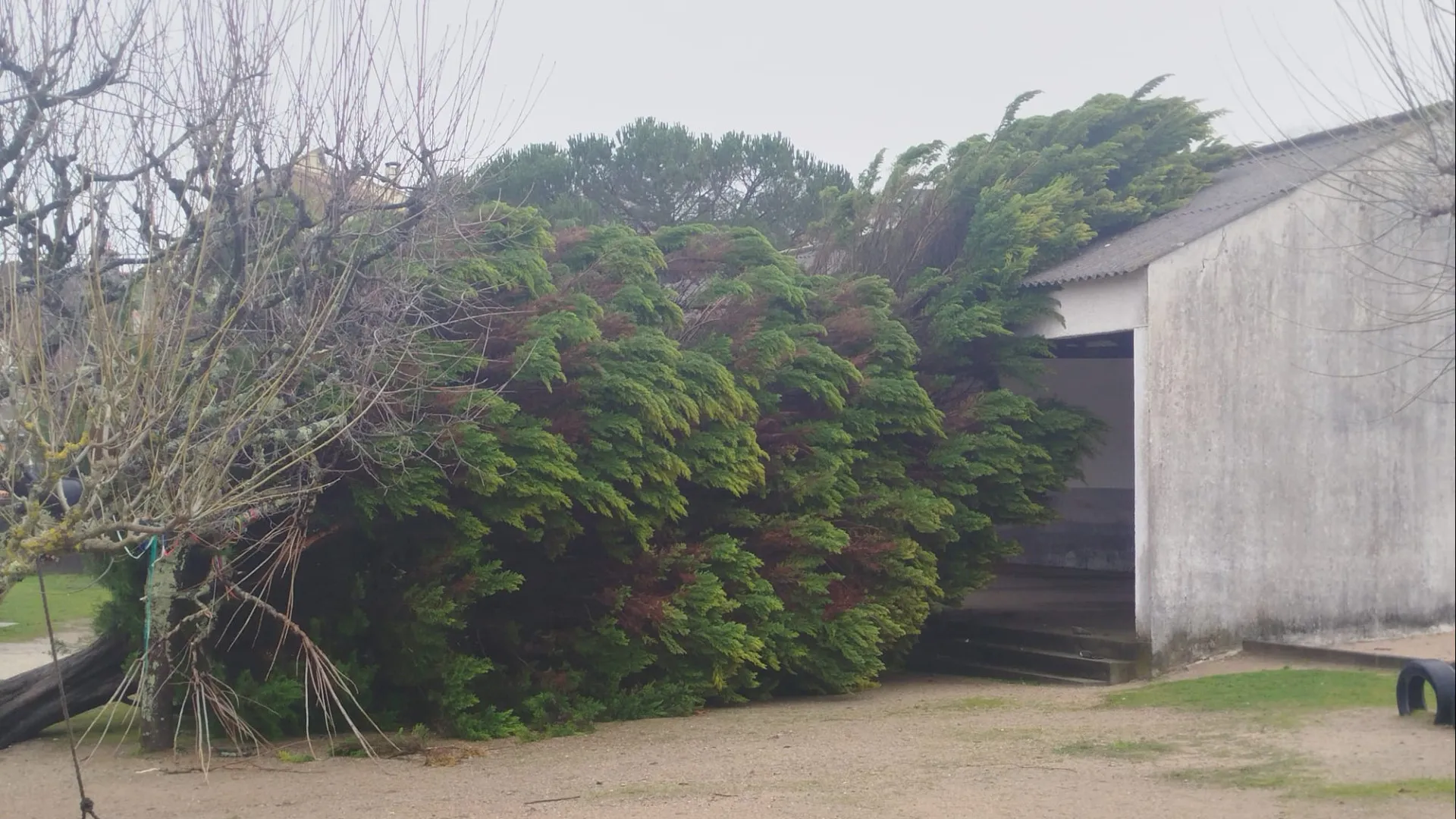 Chuva provoca mais estragos em Góis