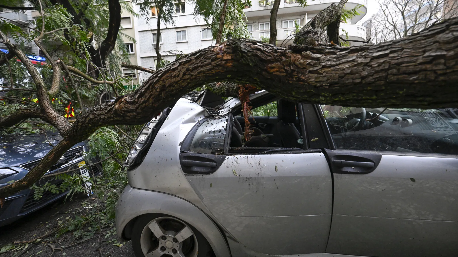 
                    Cerca de 250 voluntários limparam espaços públicos em Castelo Branco
                