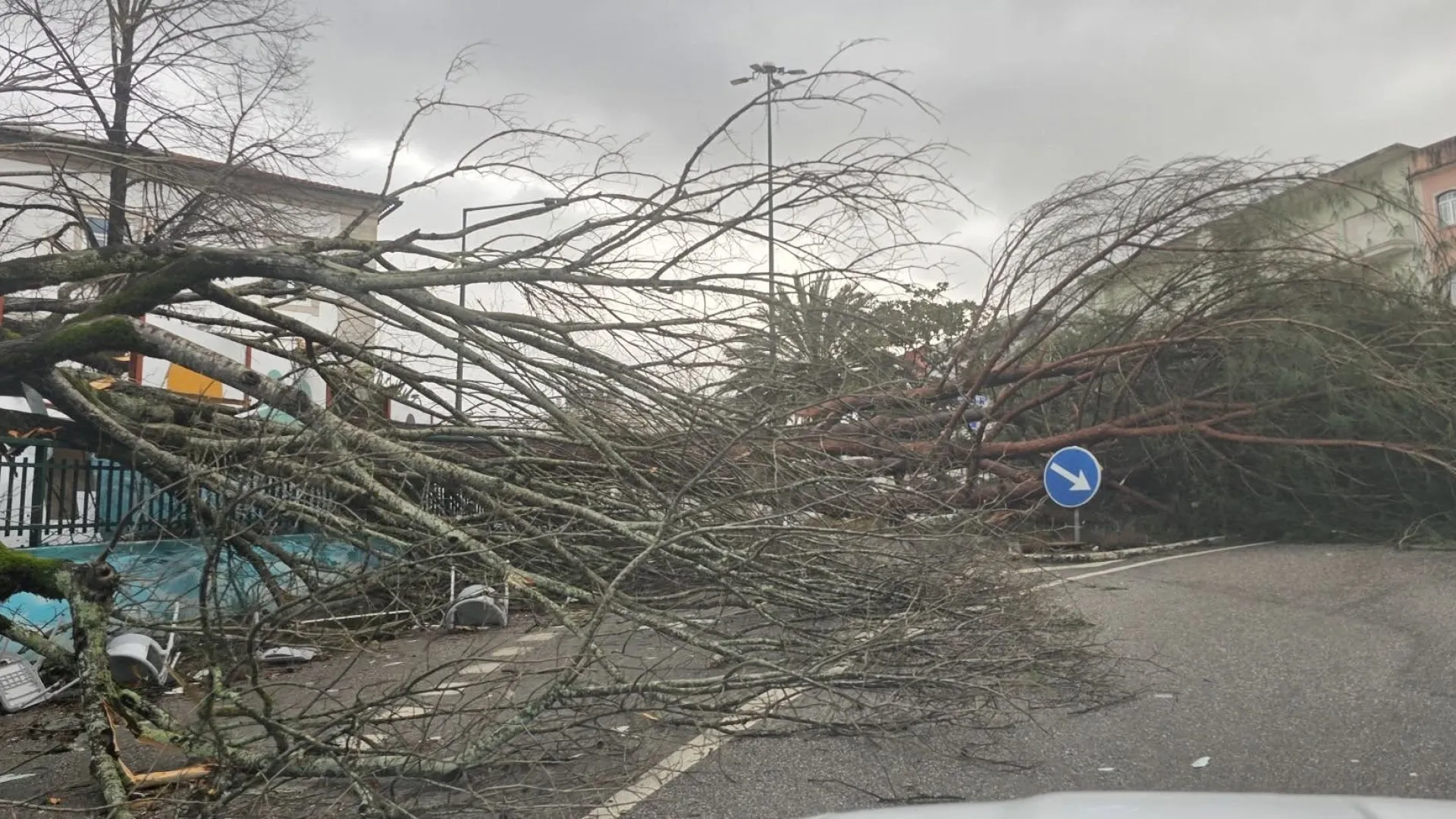 
                    Câmara de Pombal distribui toldos e alimentos a quem precisa
                