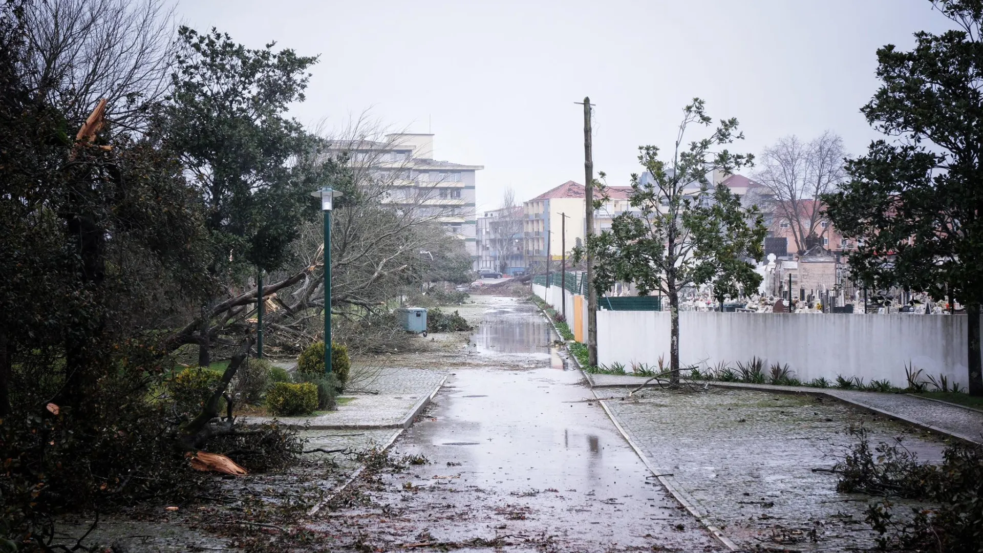 
                    Mau tempo: PSP de Leiria sem registo de saques ou pilhagens
                