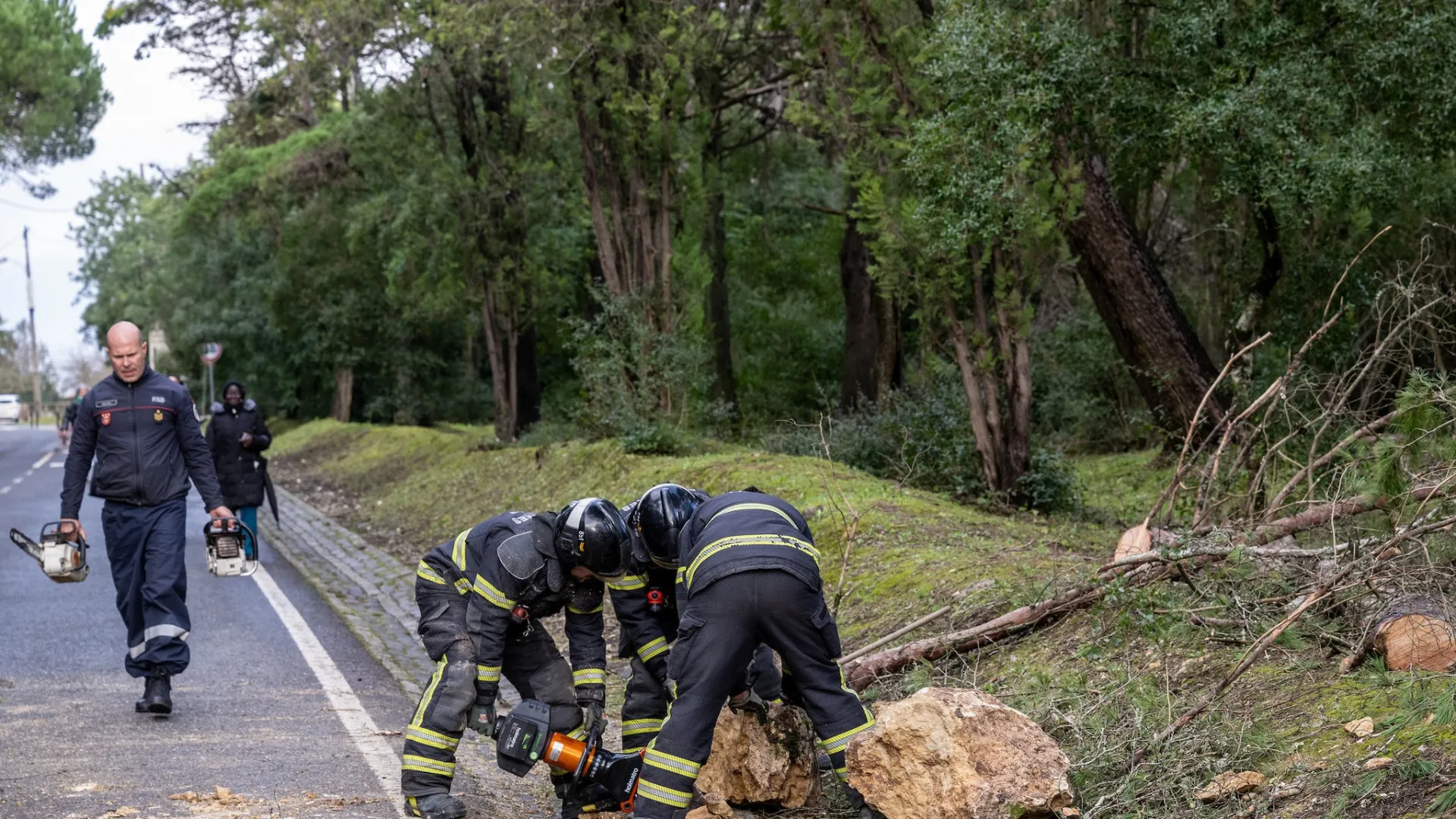 
                    Deco Proteste cria linha telefónica de apoio às populações afetadas
                