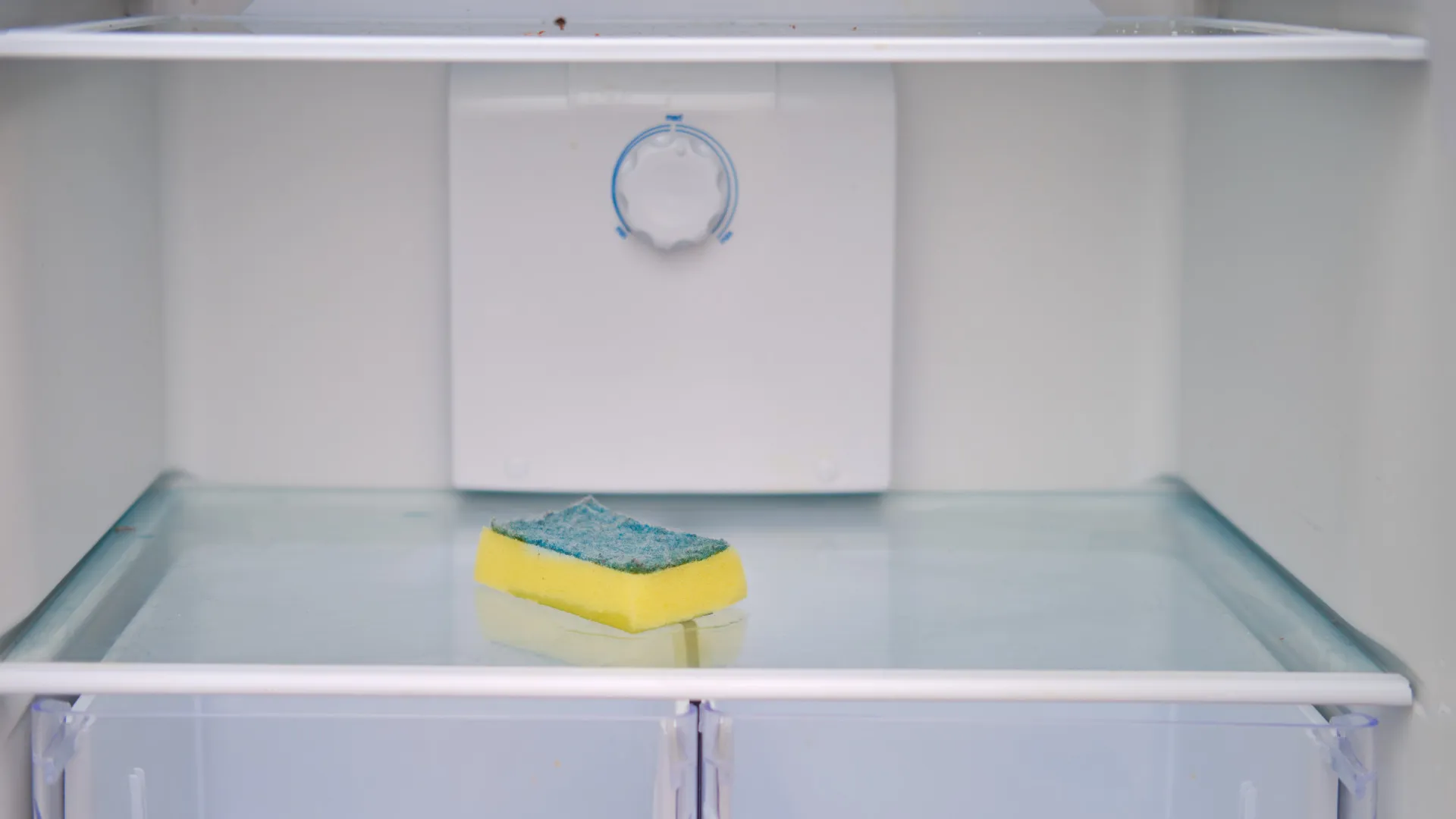 
                    O segredo de milhões: Ponha uma esponja da loiça dentro do frigorífico
                