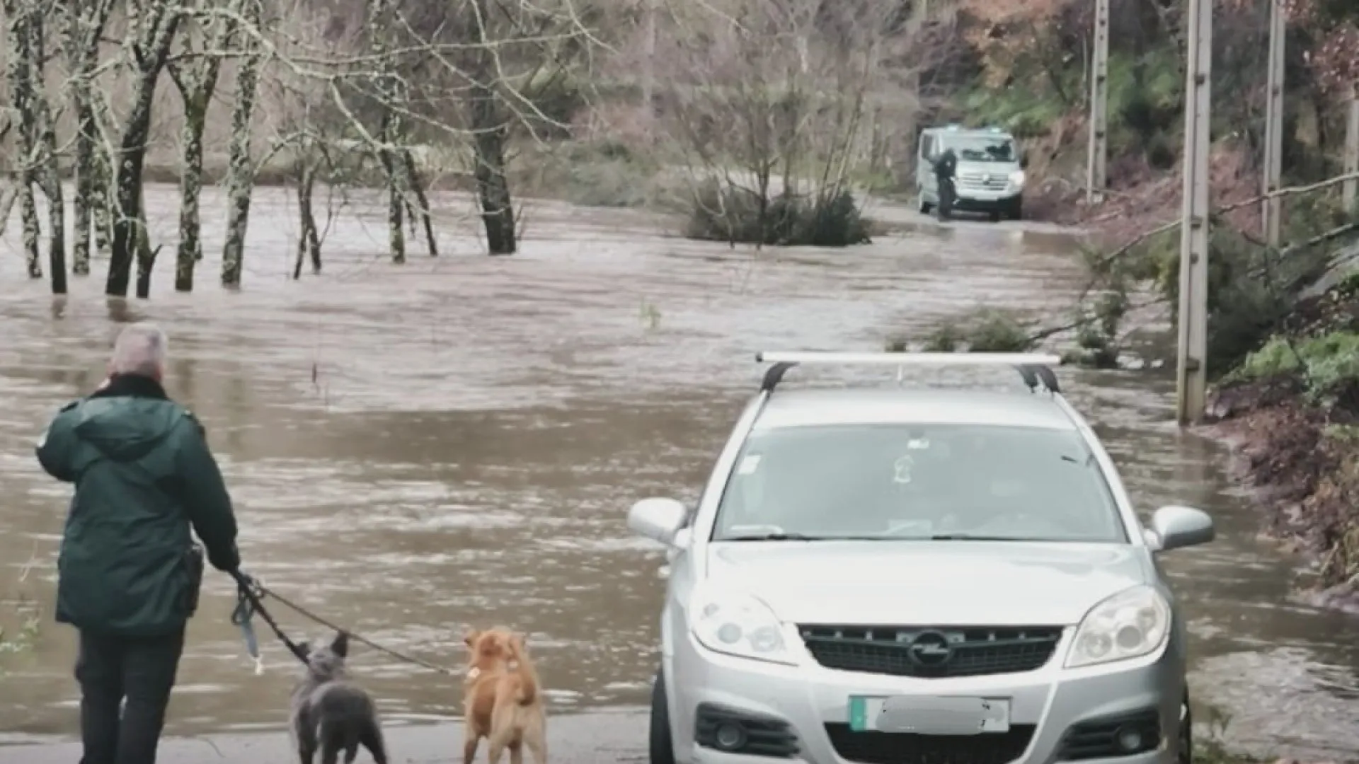 
                    GNR resgata 25 cães de canil de Gondomar devido ao caudal do rio Sousa
                