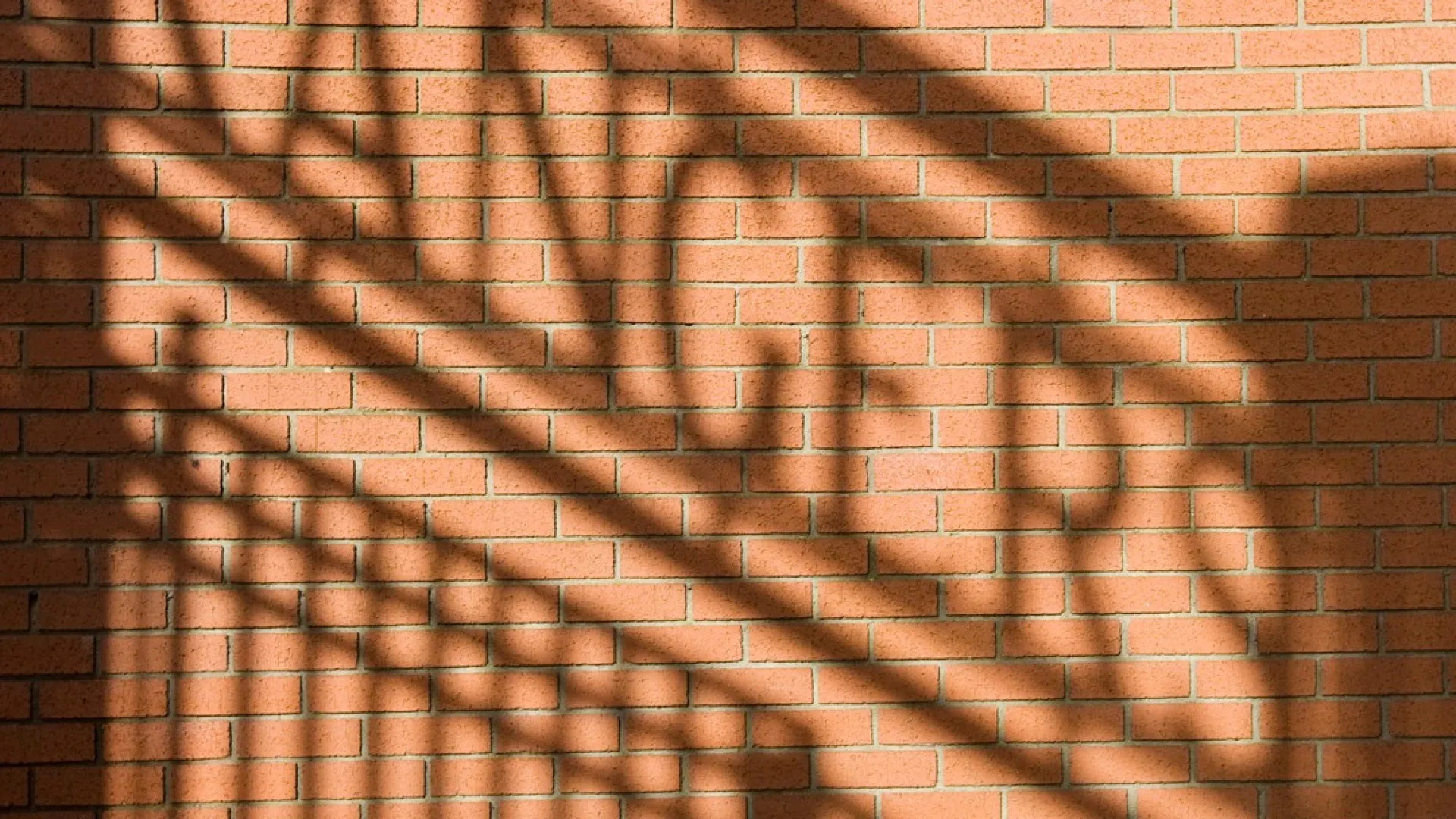 
                    Tragédia. Adepto do Rangers morre antes do jogo com o FC Porto
                