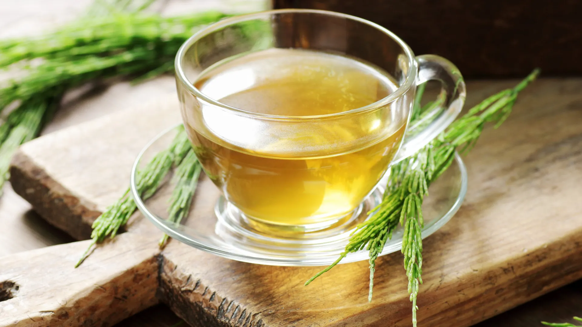 
                    Para que serve o chá de cavalinha? A planta que faz bem a (quase) tudo
                