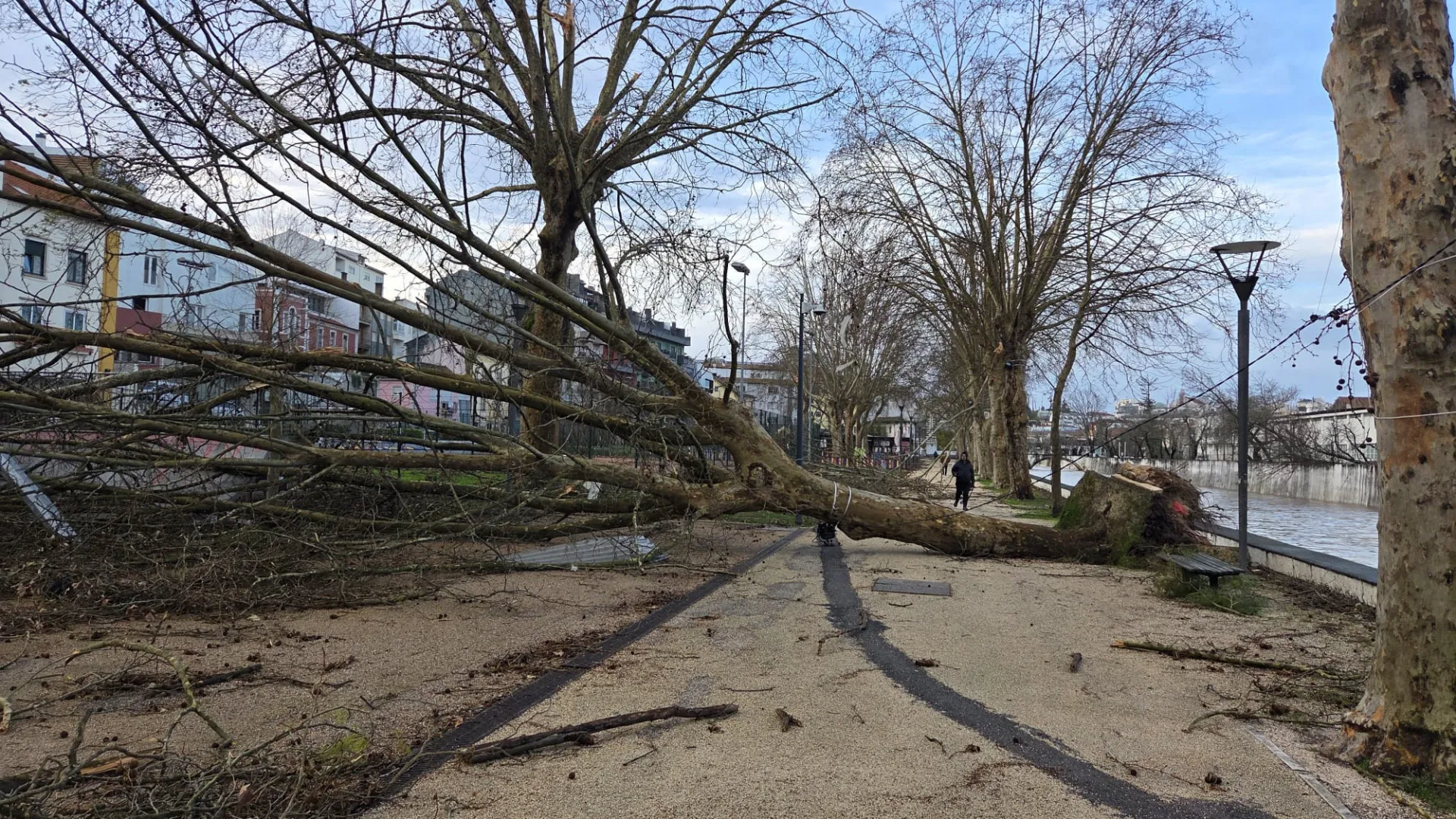 
                    Leiria alerta para burlas de pessoas a passar por funcionários
                