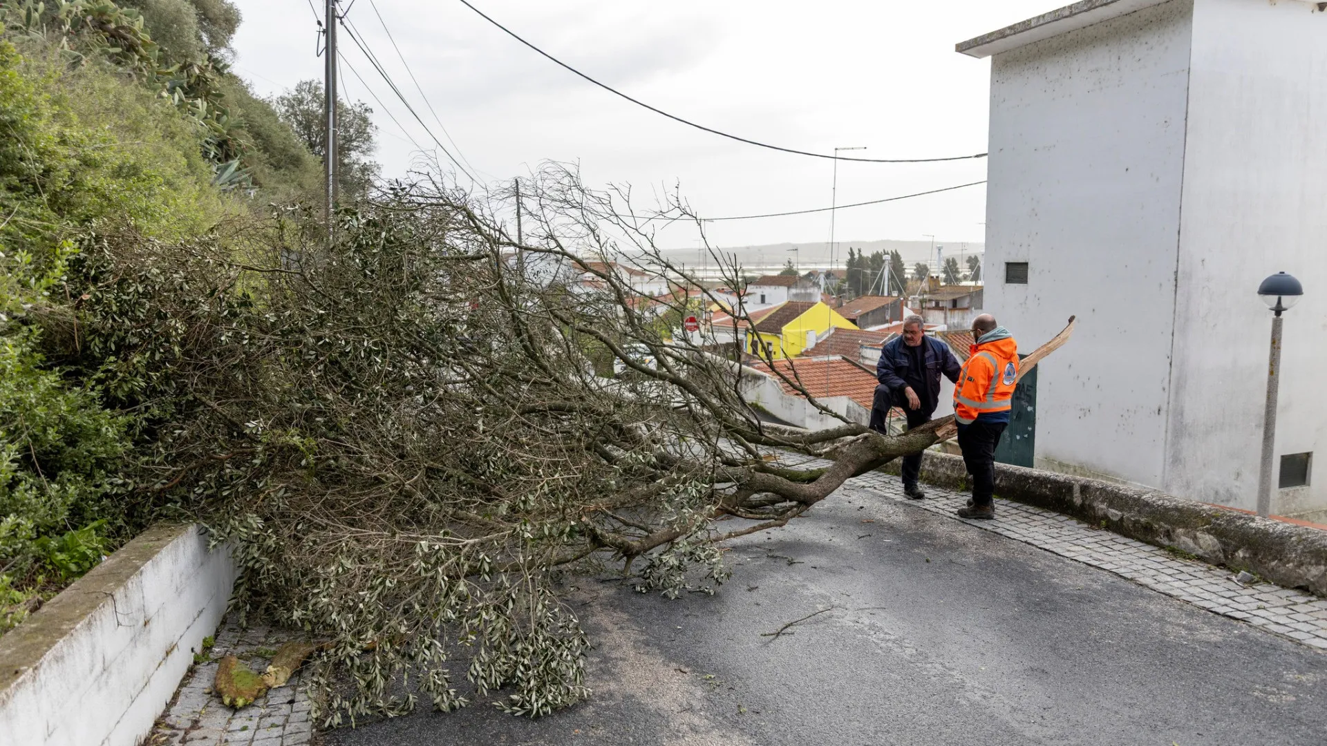 
                    Alcácer do Sal decide adiar Presidenciais: 