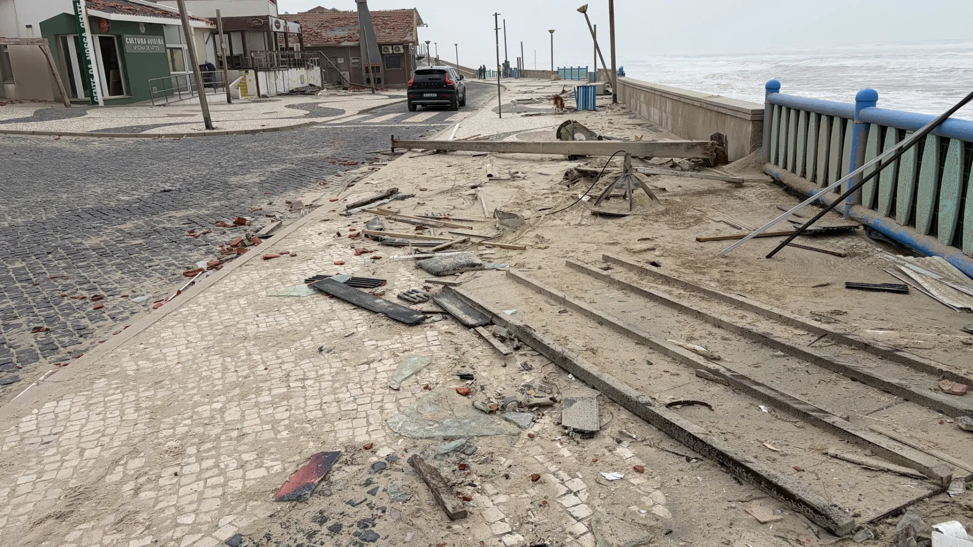 
                    Marinha Grande pede voluntários para trabalho de limpeza
                