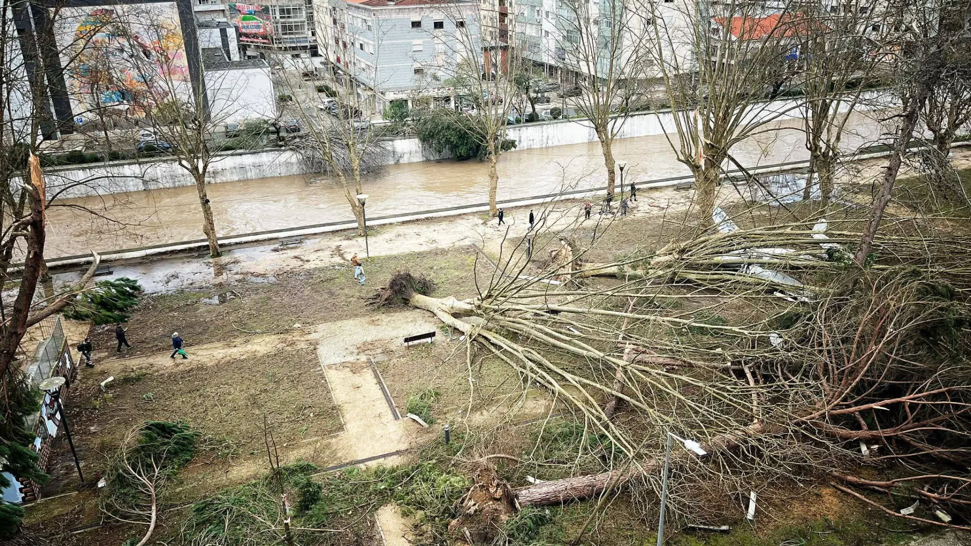 
                    Municípios do Baixo Alentejo enviam material para populações de Leiria
                
