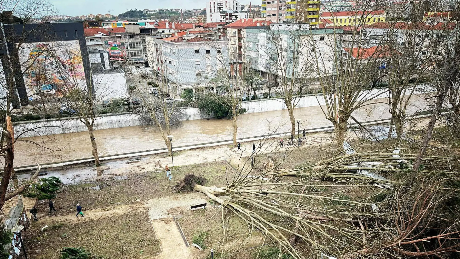 
                    Homem morre após queda de telhado no concelho de Leiria
                