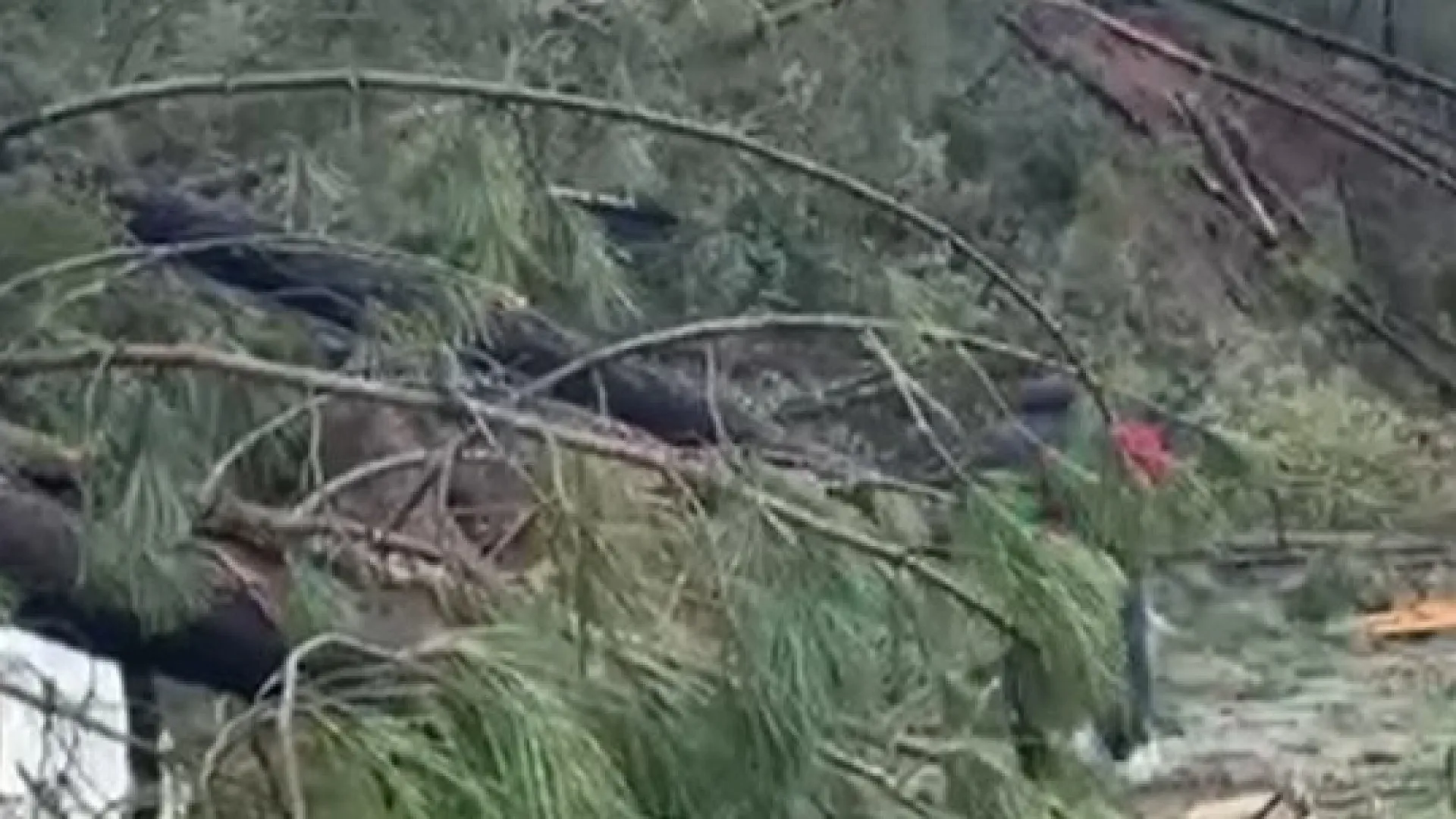 
                    Jogadores da ACRD Cabeçudo arregaçam mangas e ajudam bombeiros
                