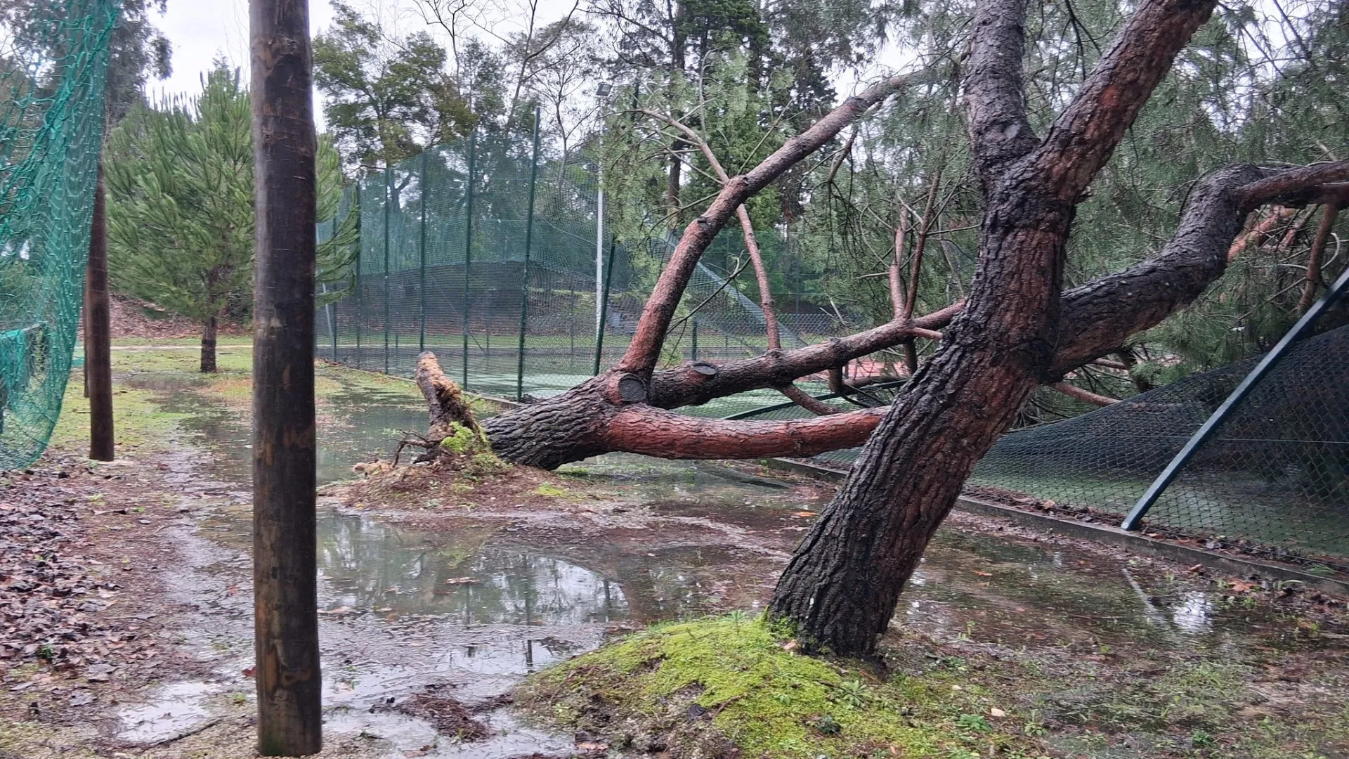 
                    Mealhada: 500 ocorrências e prejuízos superiores a um milhão de euros
                