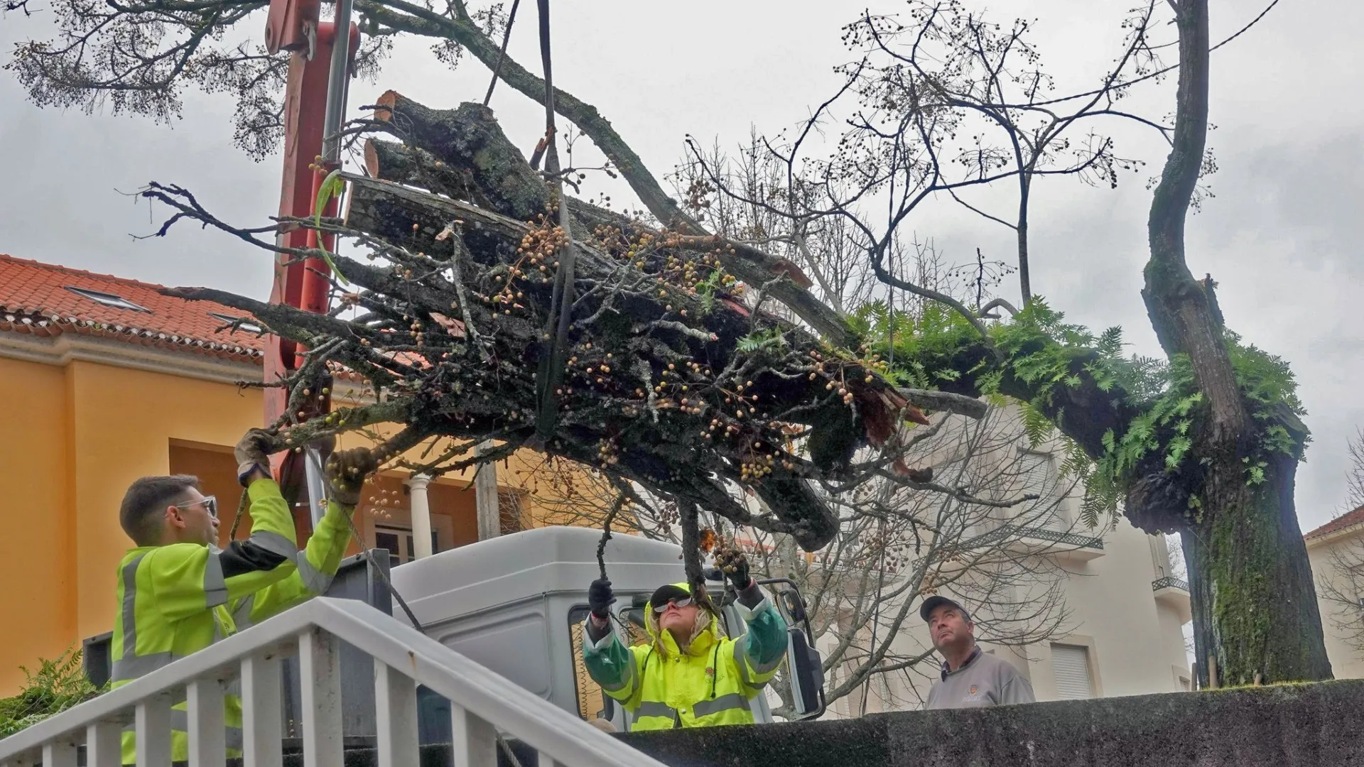 
                    Chamusca ativa Plano Municipal de Emergência
                