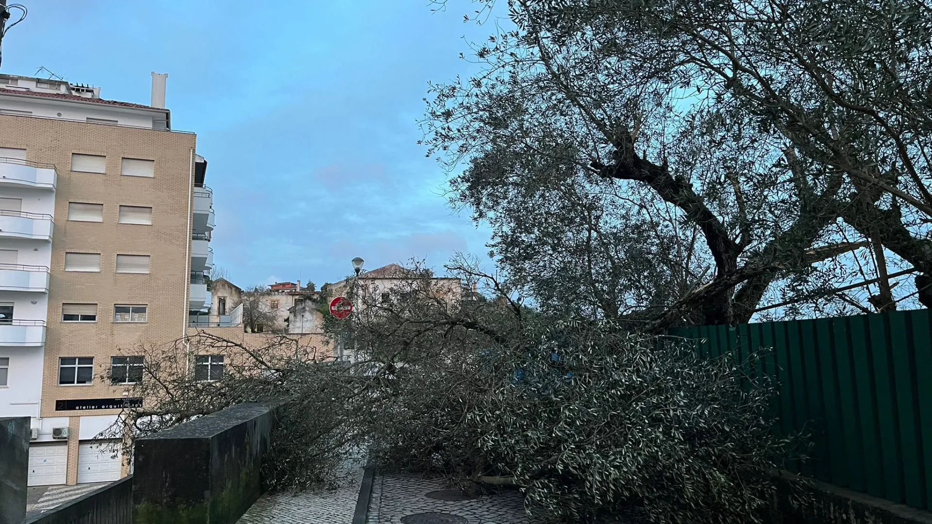 
                    Empresa do Norte ajuda a reparar telhados em Leiria
                