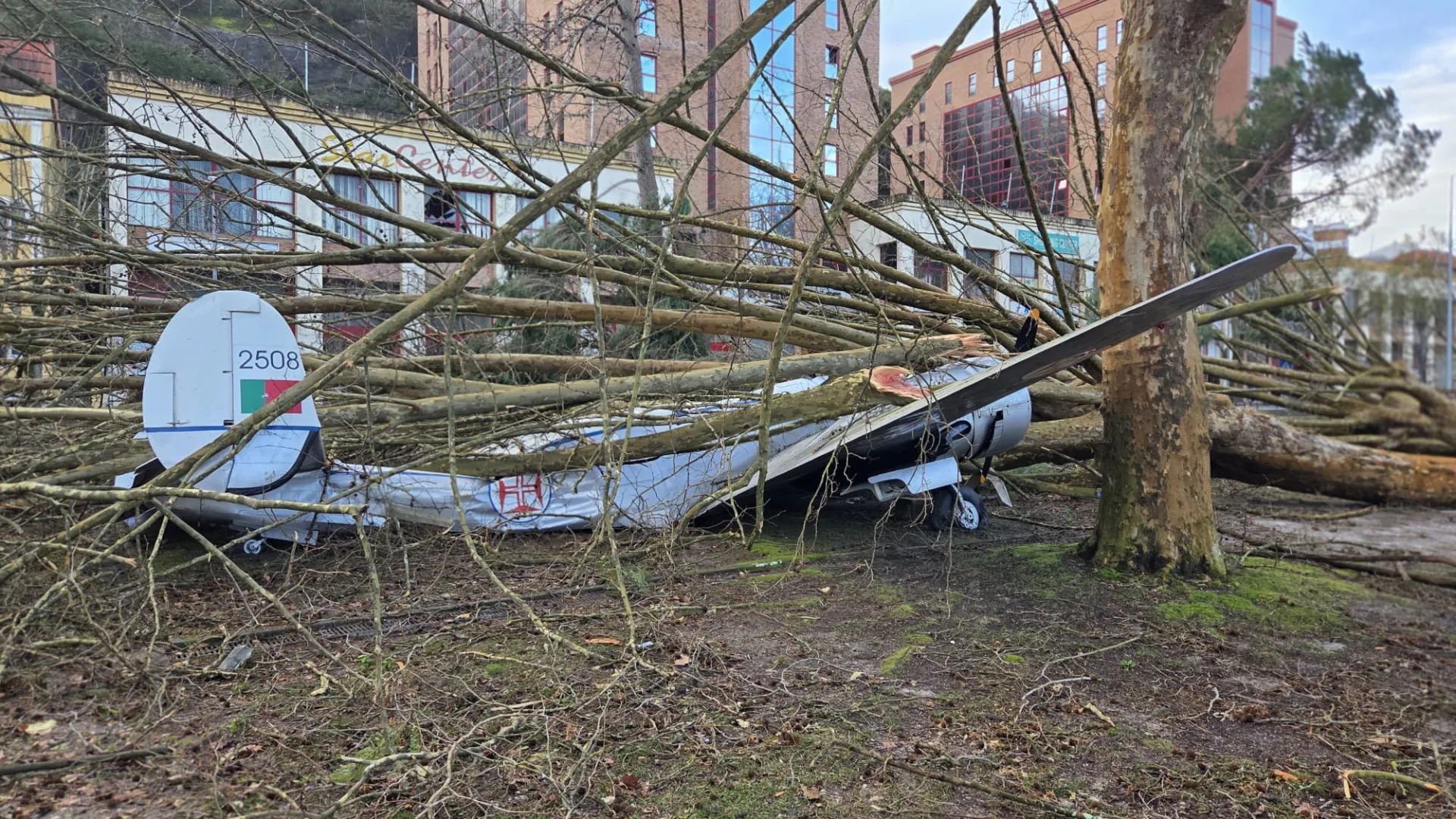 
                    Foi afetado pelo mau tempo? Eis os locais onde pode receber ajuda
                