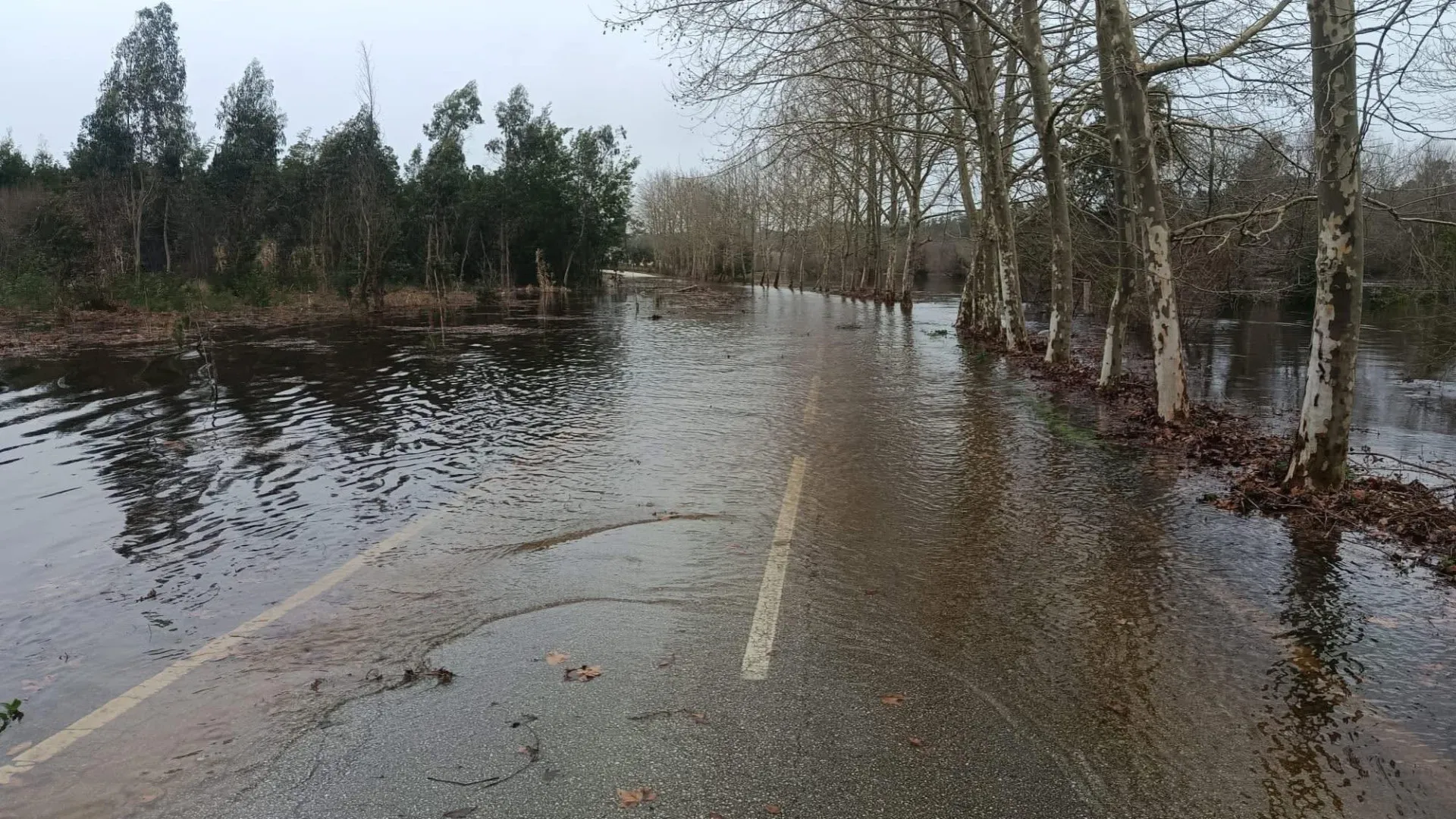 
                    Tejo desce em Santarém, mas Proteção Civil mantém alerta vermelho
                