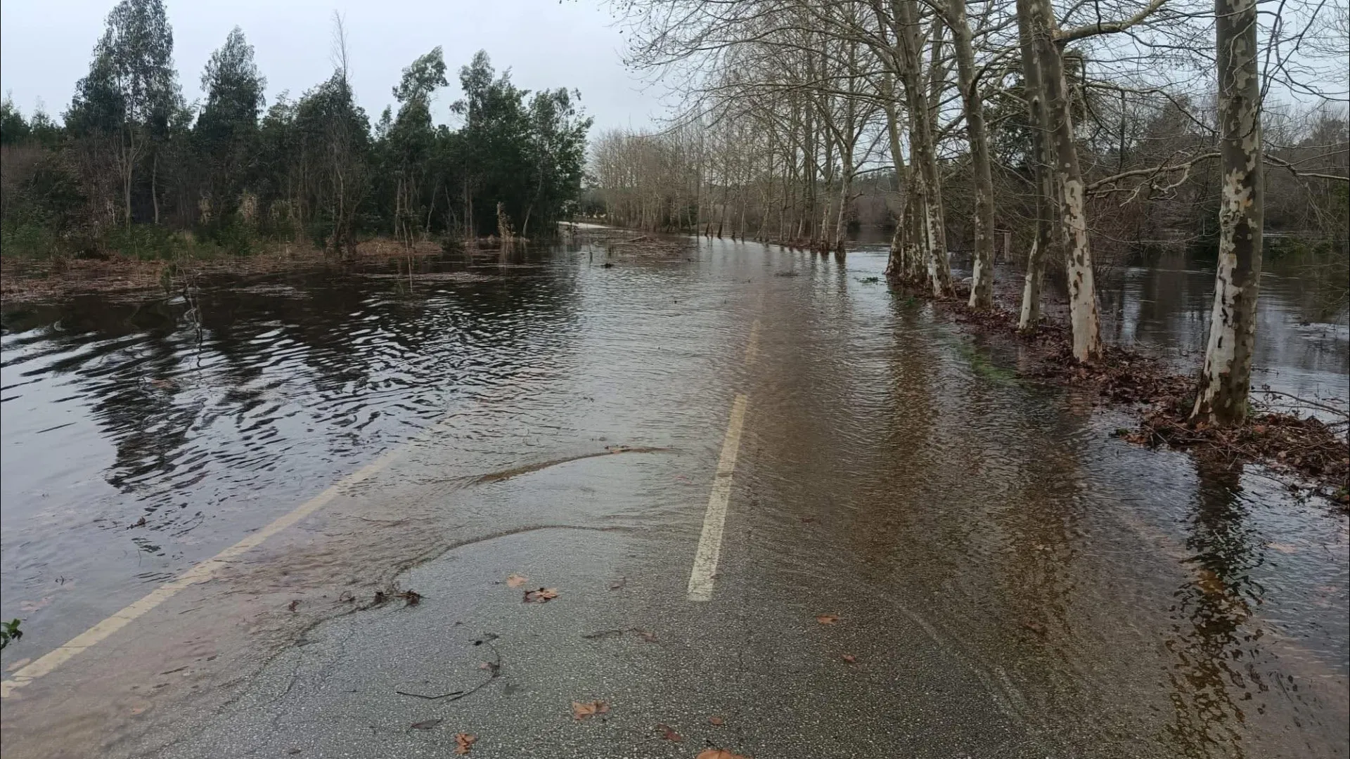 Mau tempo. "Situação estável e controlada" nos níveis de água no Mondego