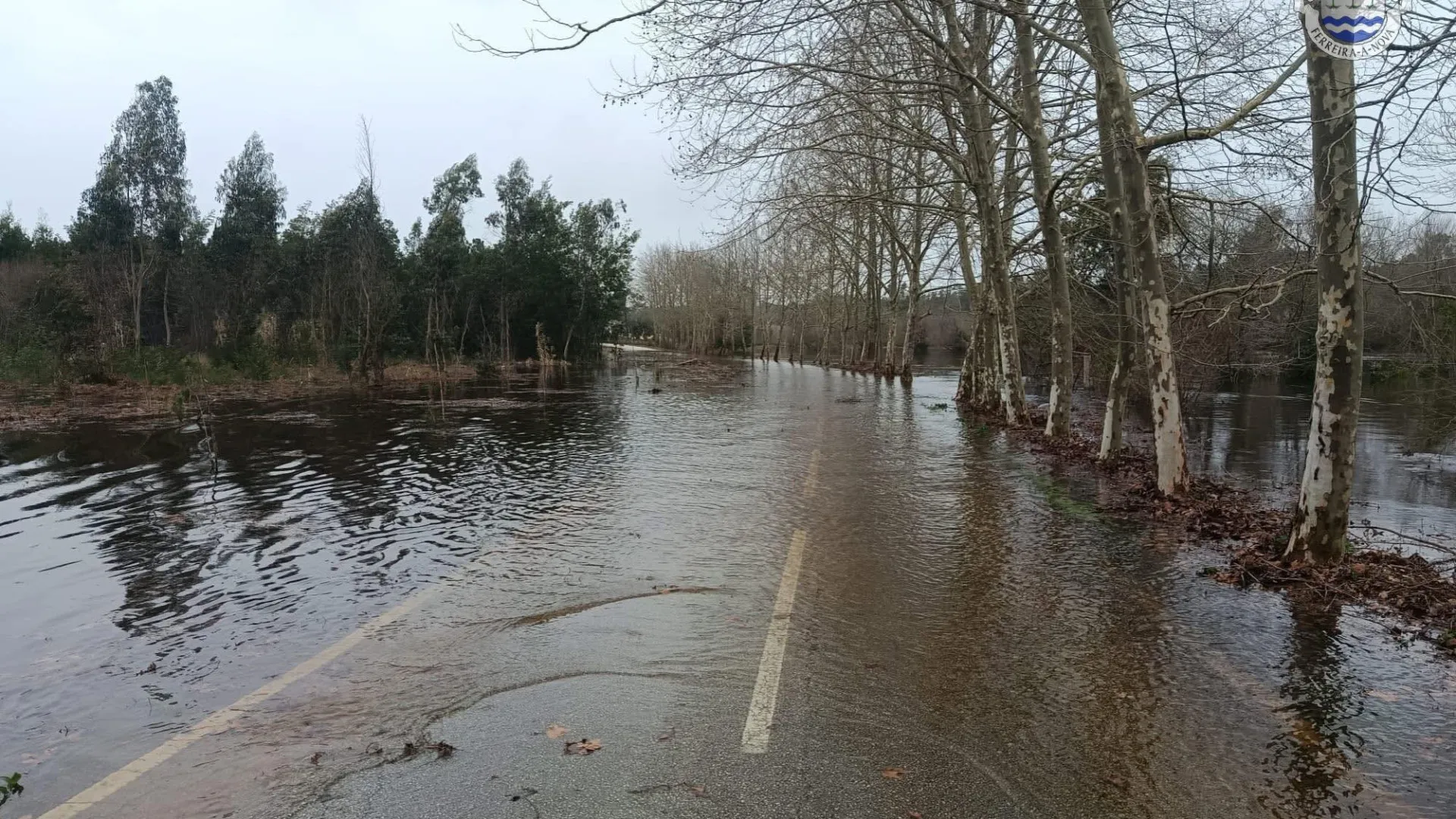
                    Bacia do Mondego está de novo em situação de risco
                