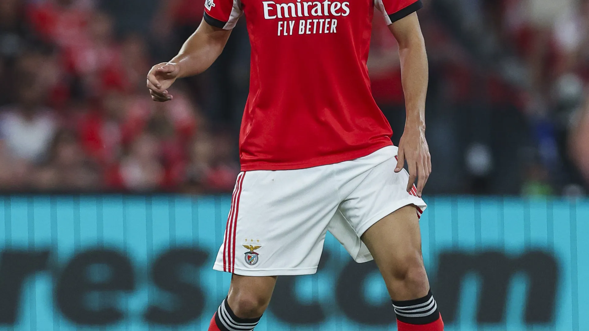 
                    António Silva não atira toalha ao chão: 