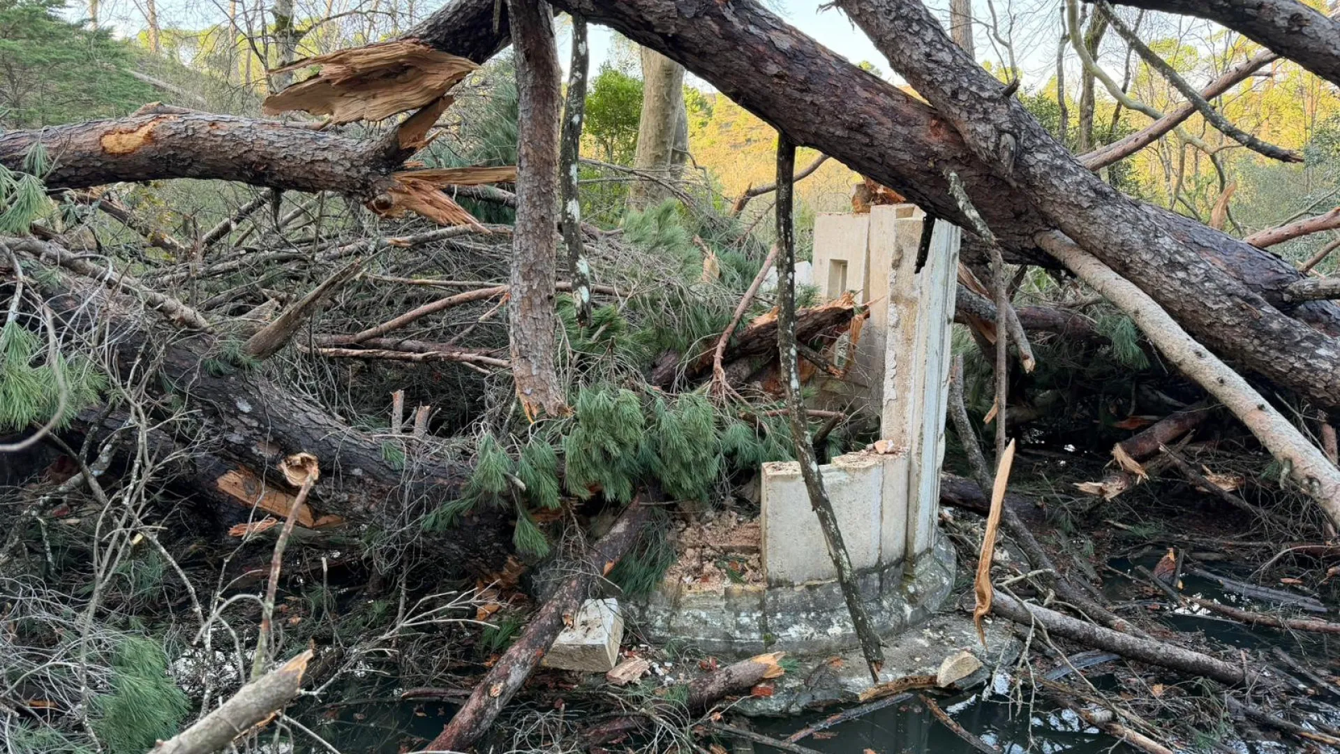 
                    Destruído monumento renascentista junto ao Convento de Cristo em Tomar
                