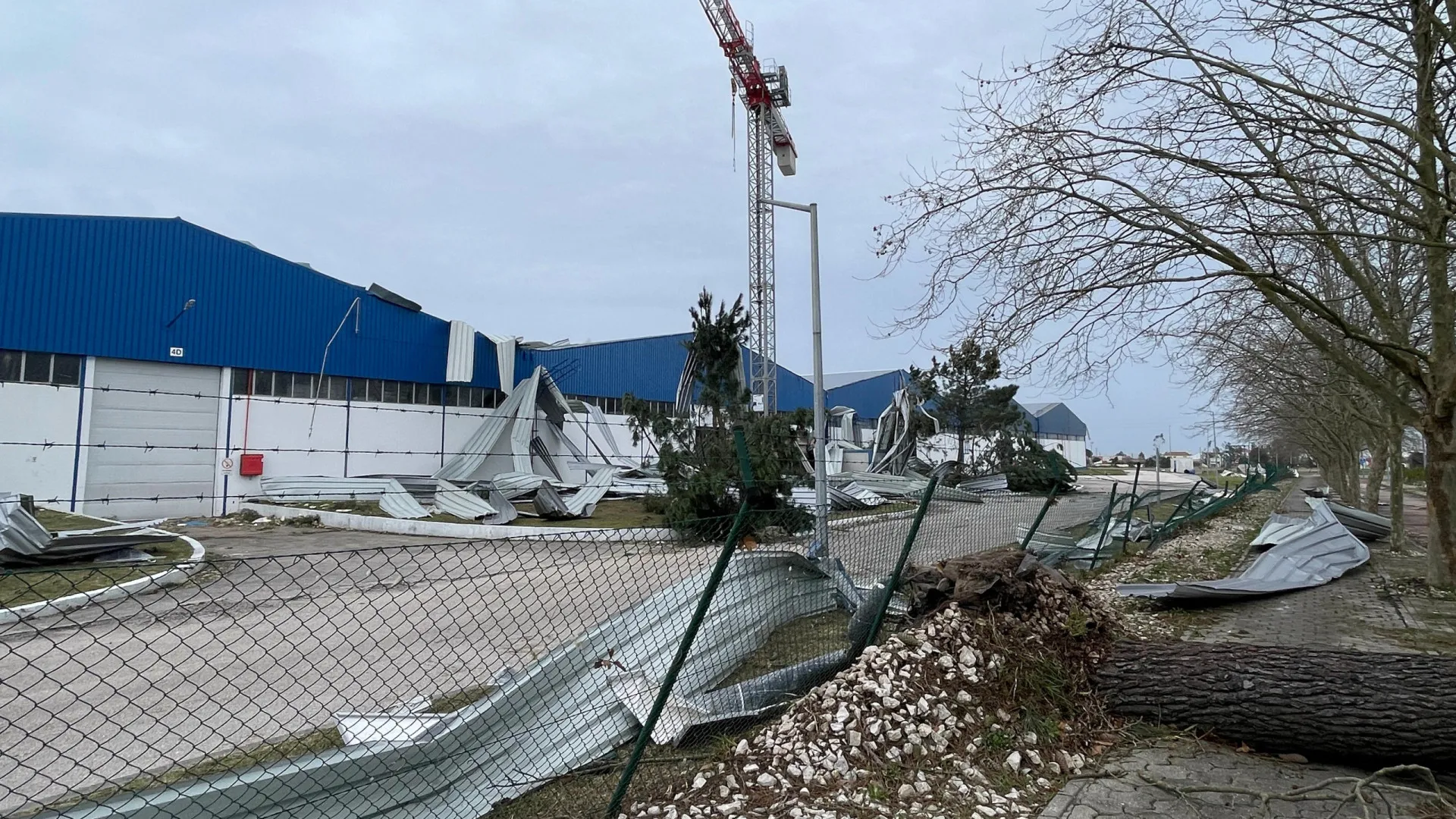 
                    Governo lança (e suporta) intervenção de emergência. Vai agir nos preços?
                