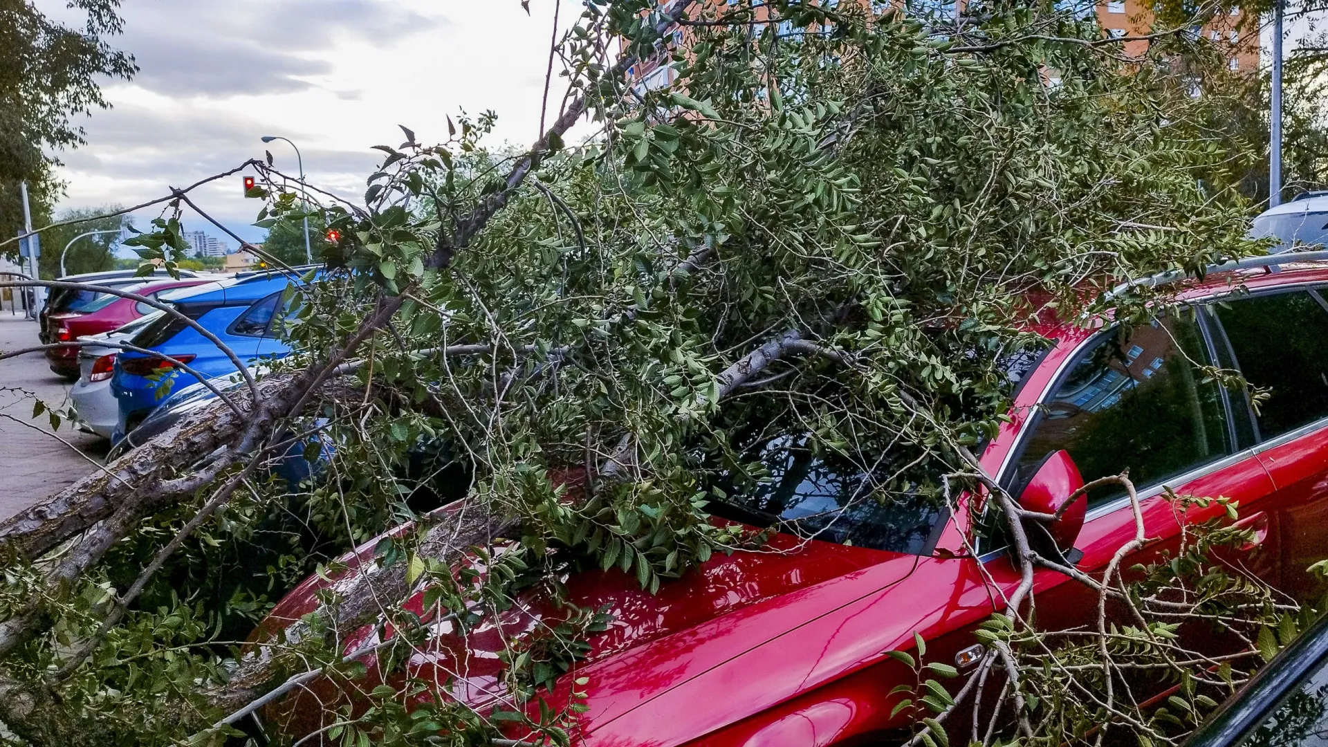 
                    Crédito à habitação: Vale a pena pedir moratória por causa da tempestade?
                