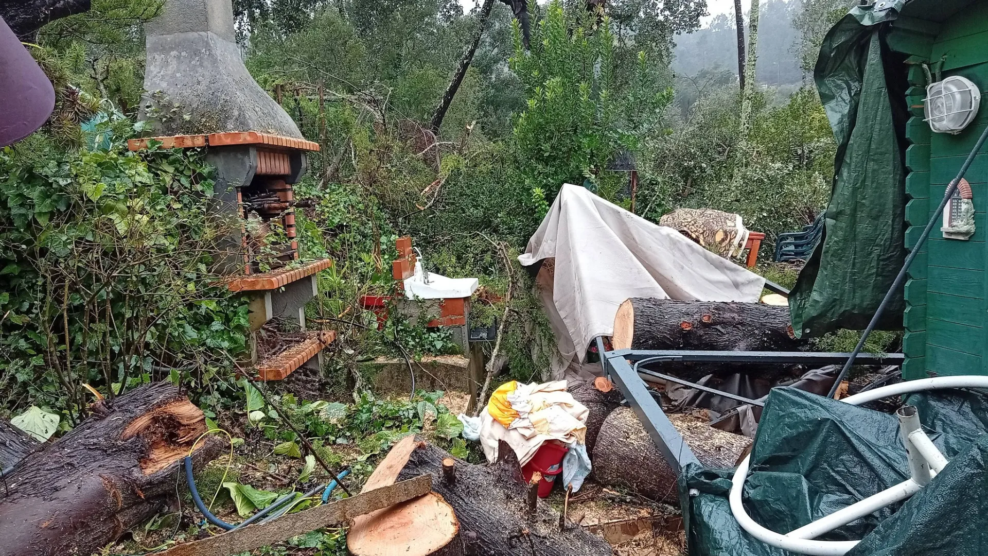 
                    Município da Sertã disponibiliza lonas e faz aplicação nas habitações
                