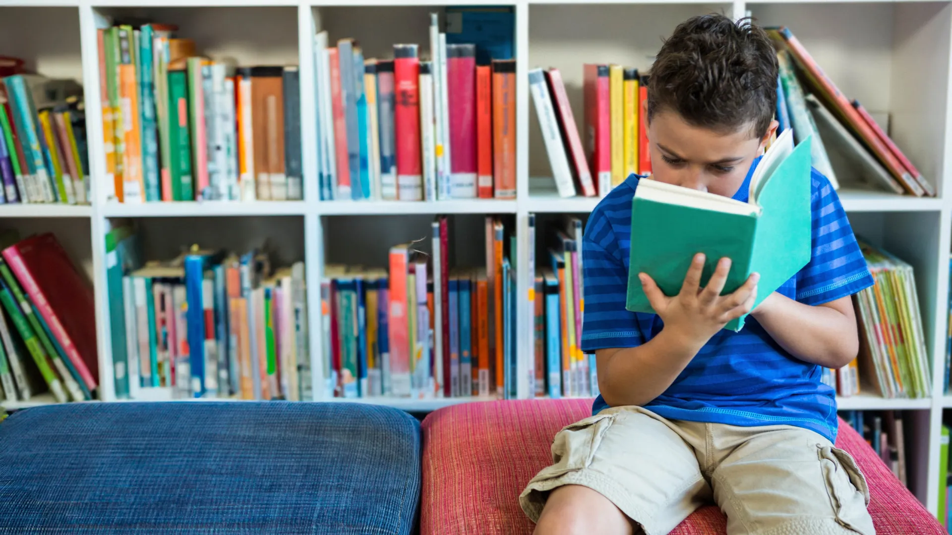 
                    10 livros para explicar a democracia às crianças (de forma divertida)
                