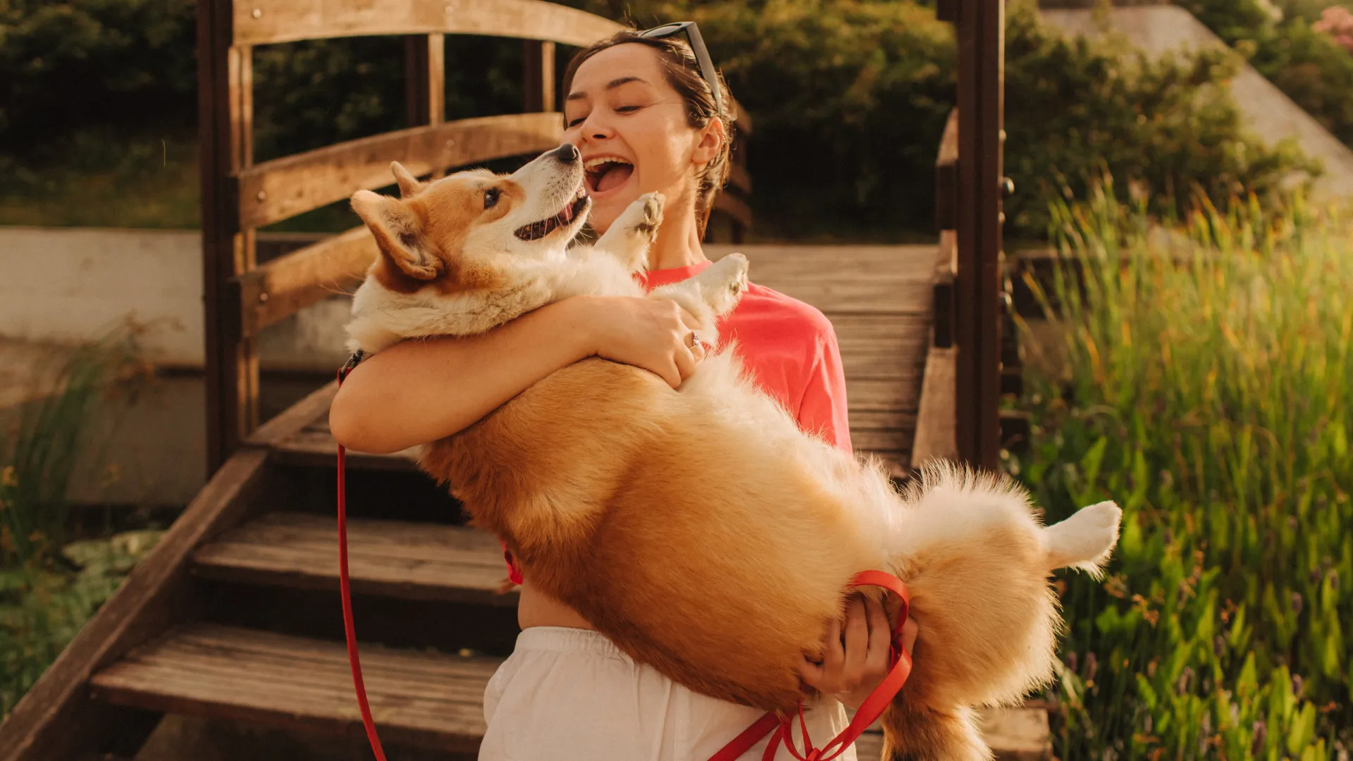 
                    O companheiro ideal é assim! 15 minutos com ele pode reduzir o stress
                