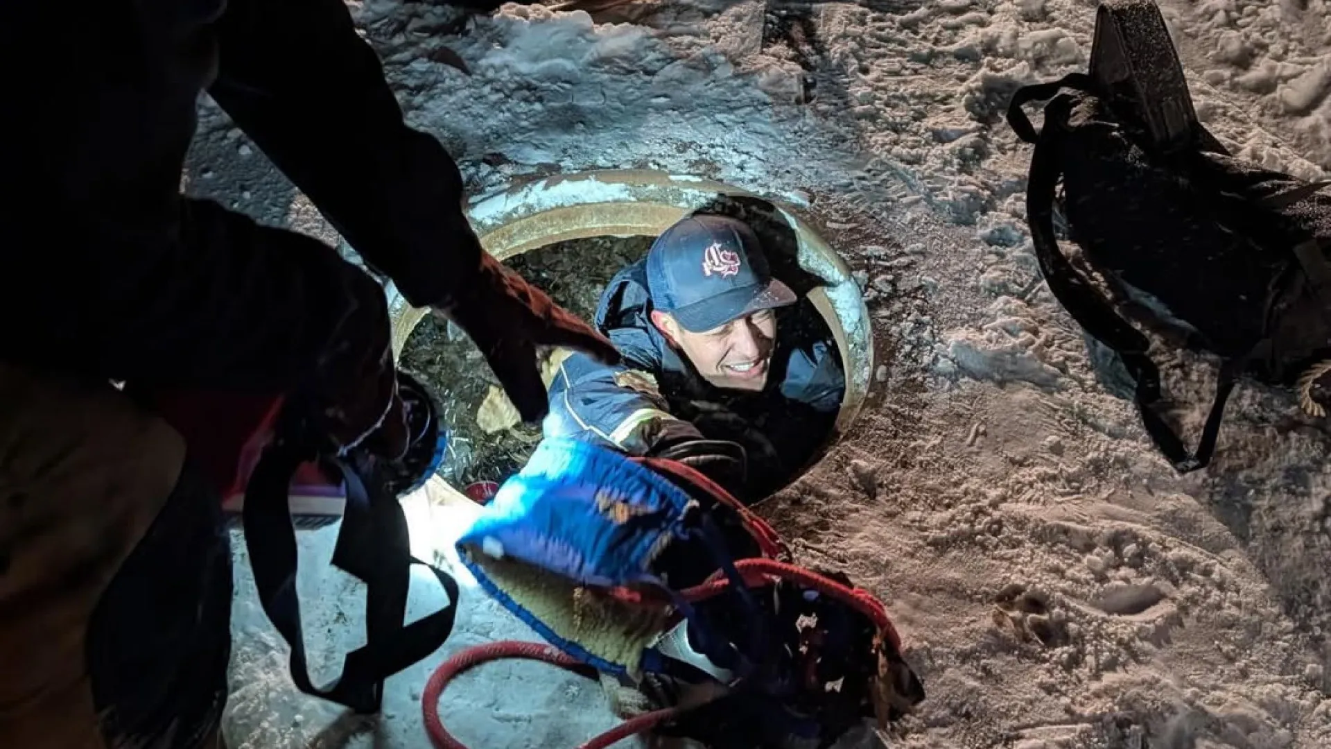 
                    Cão resgatado de esgoto pelos bombeiros do Colorado. As imagens
                