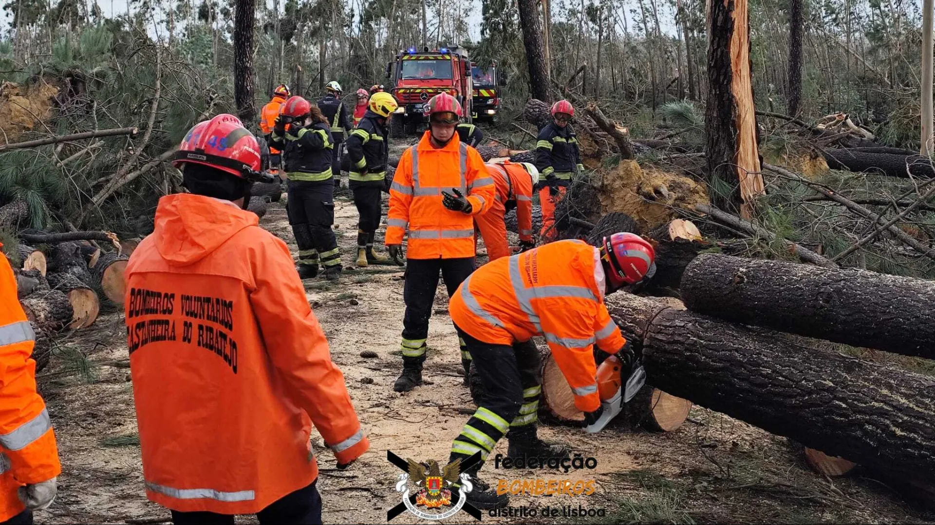
                    Alvaiázere cancela Carnaval na Praça e outras atividades 
                
