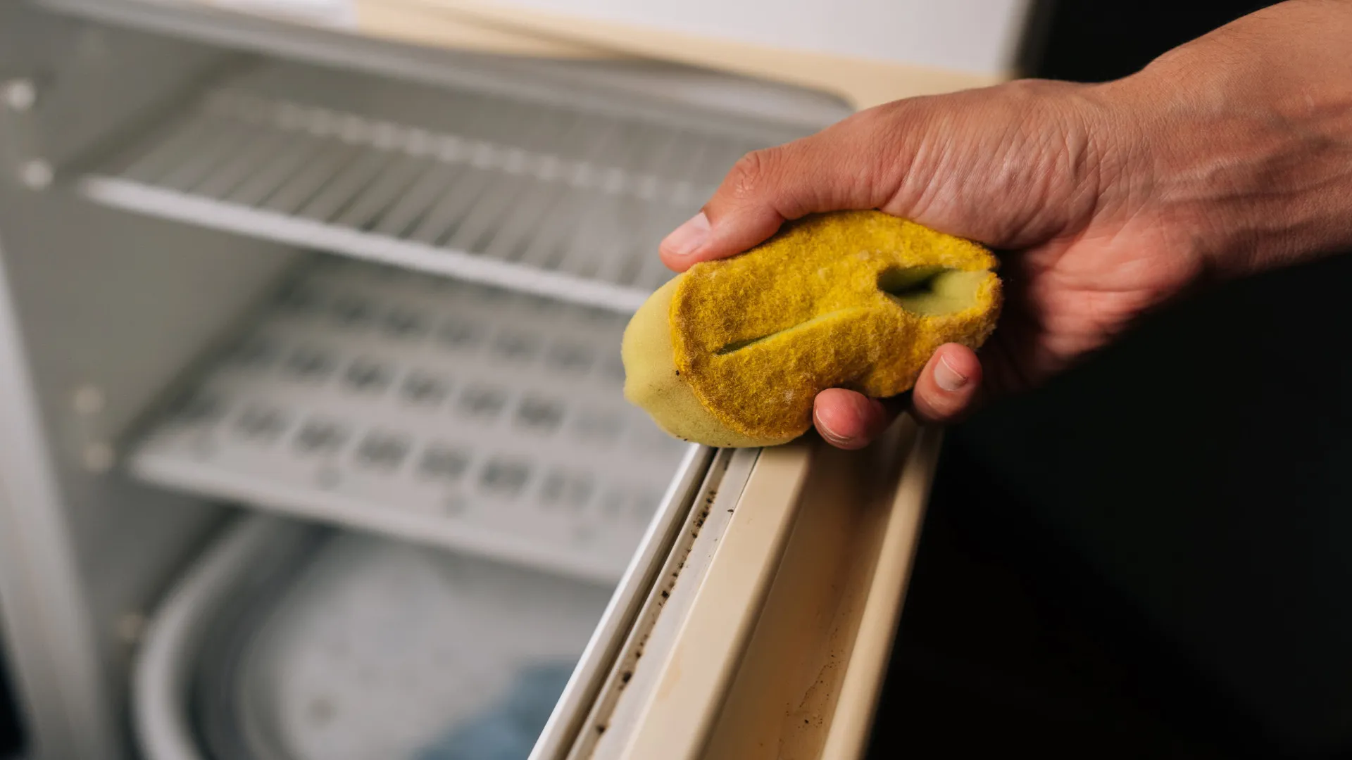 
                    Como limpar a borracha da porta do frigorífico. Aponte estas dicas
                